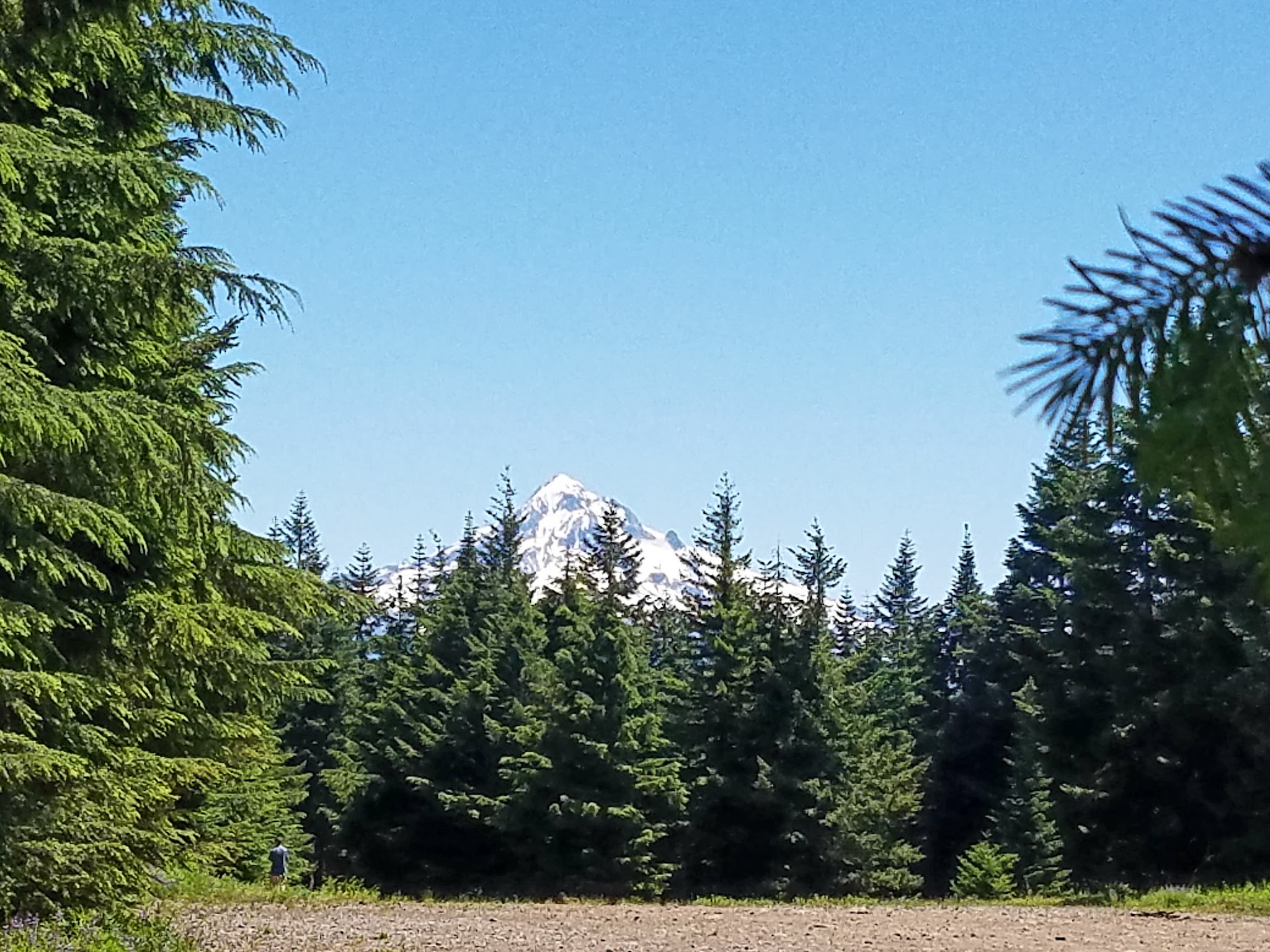 Larch Mountain Corridor Natural Sup Campground
