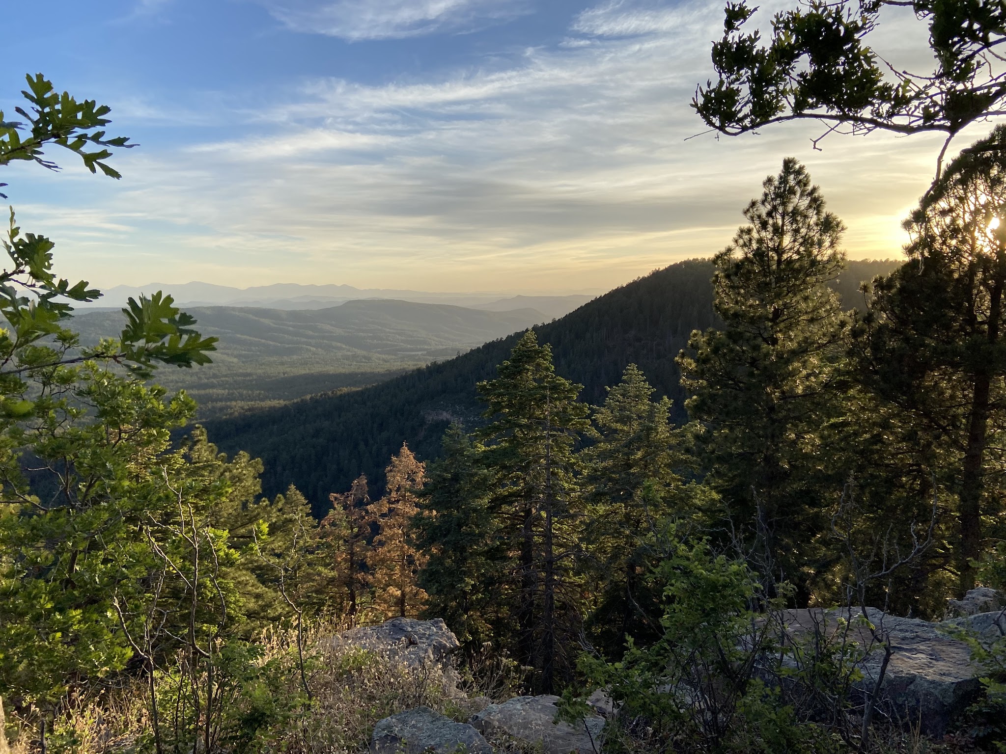 Larson Ridge Camping Area