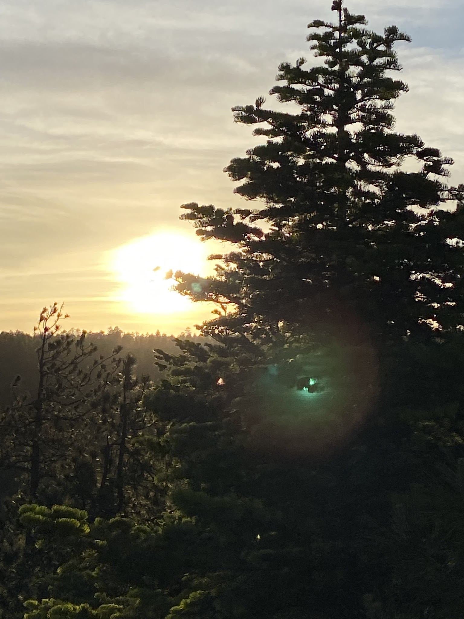 Larson Ridge Camping Area