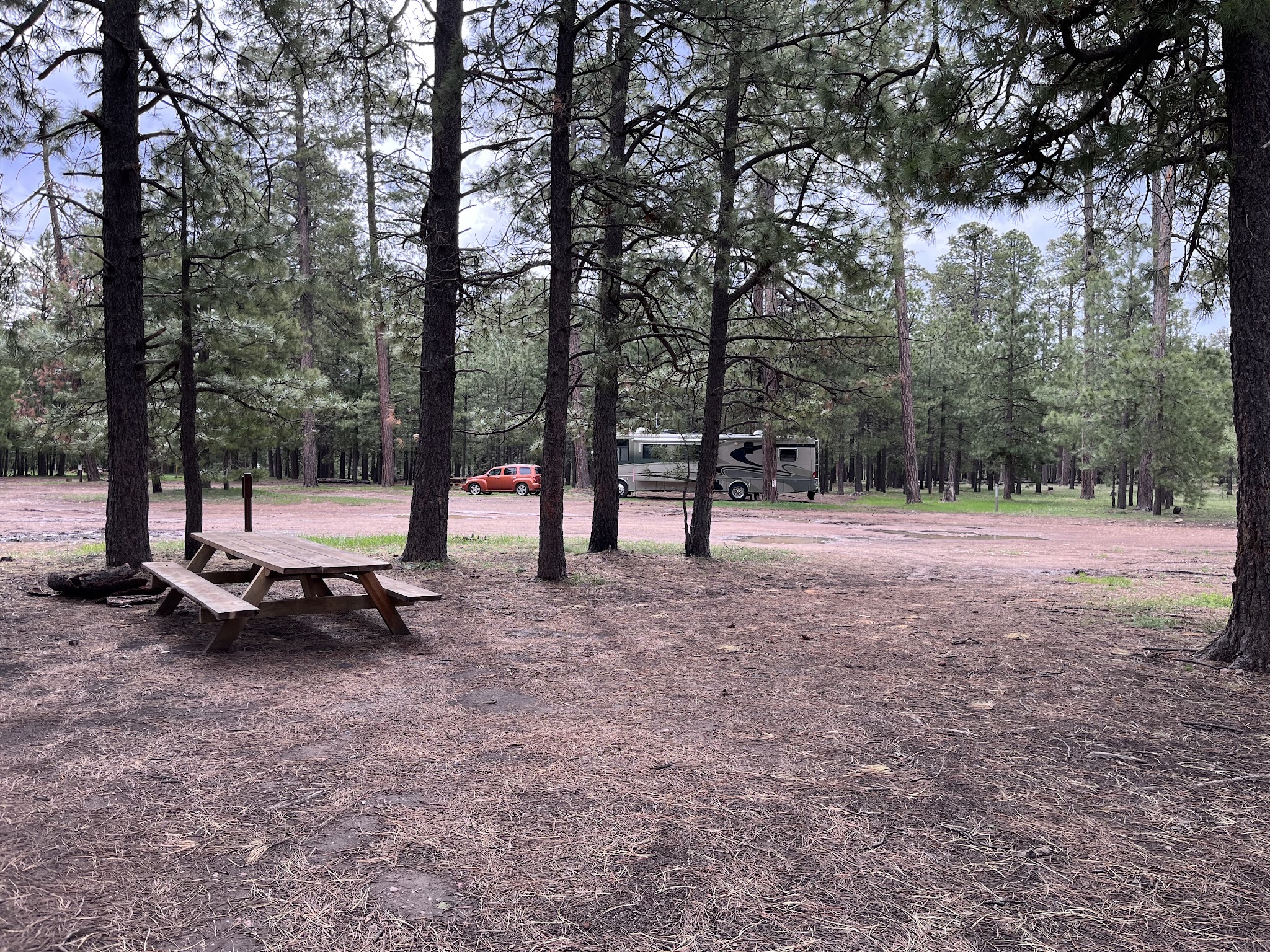 Larson Ridge Camping Area