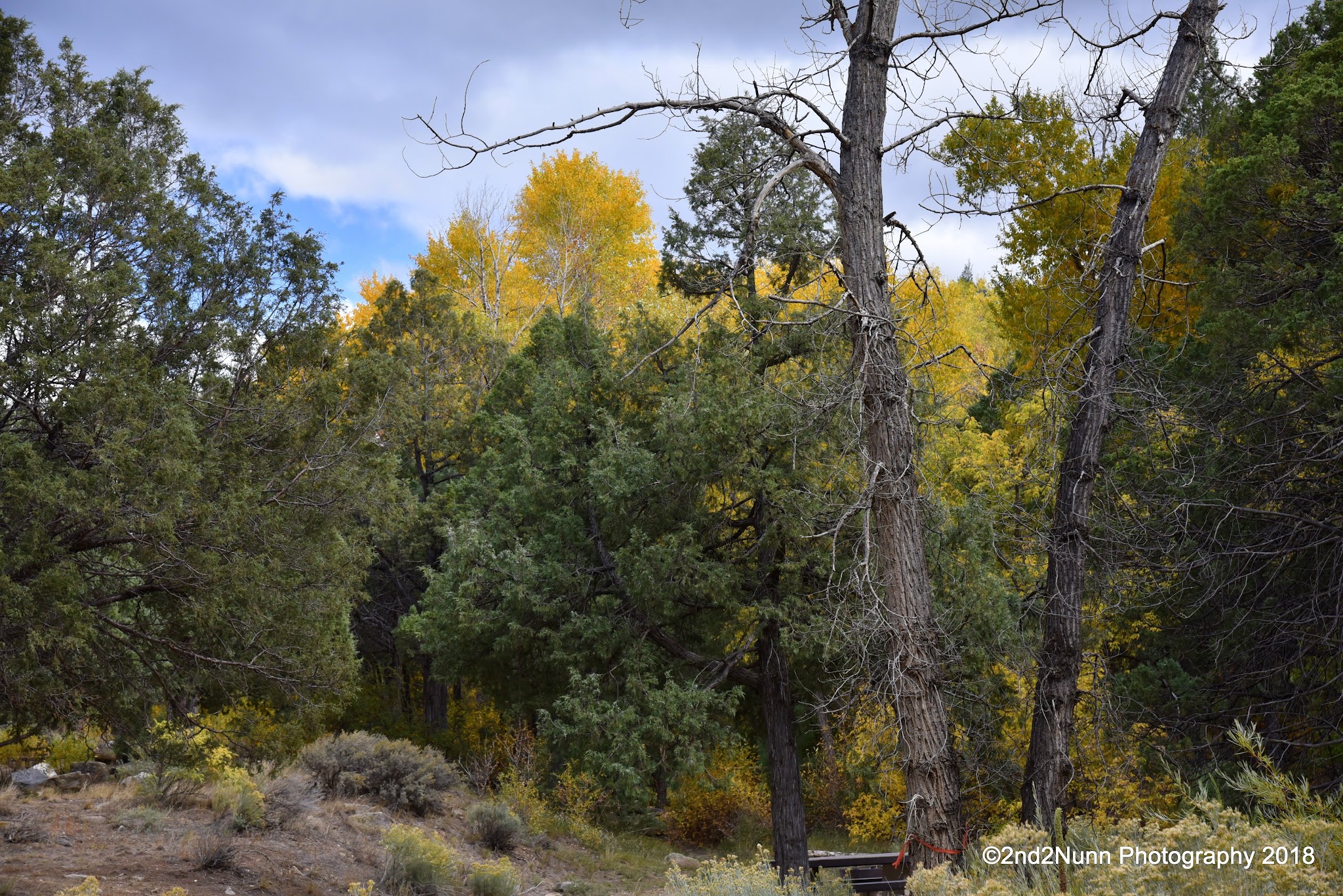 Las Petacas Campground