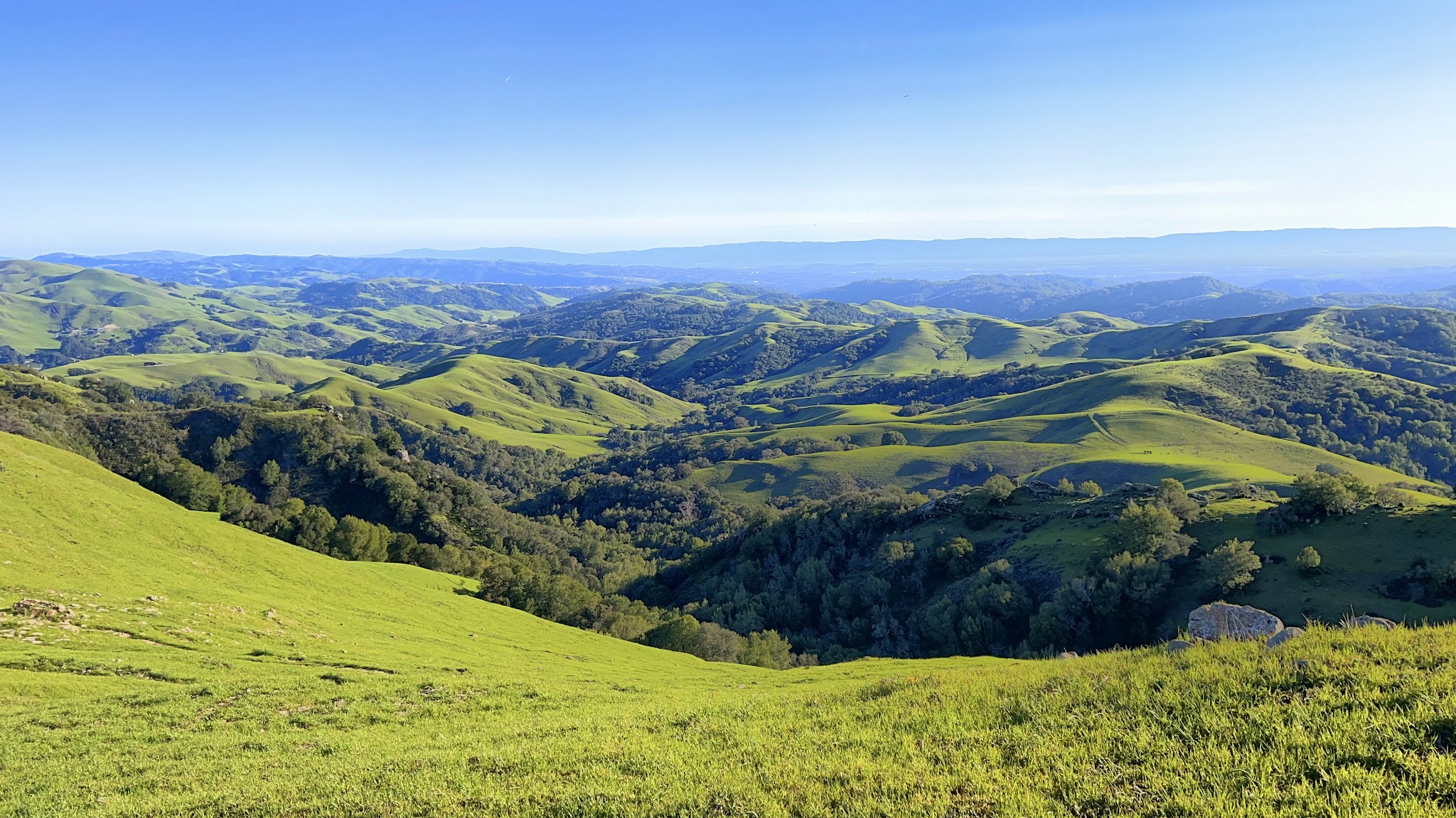 Las Trampas Regional Wilderness