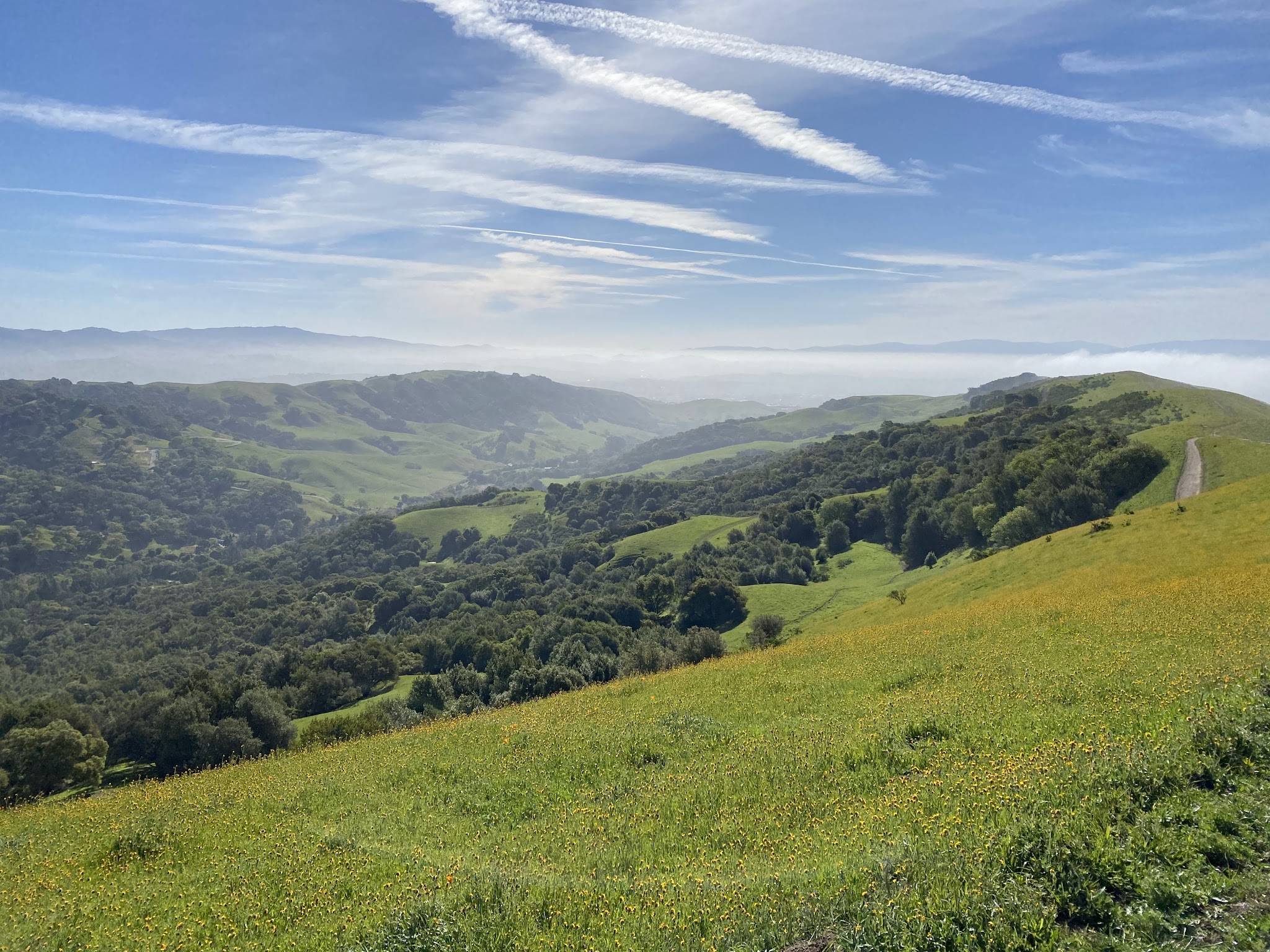 Las Trampas Regional Wilderness