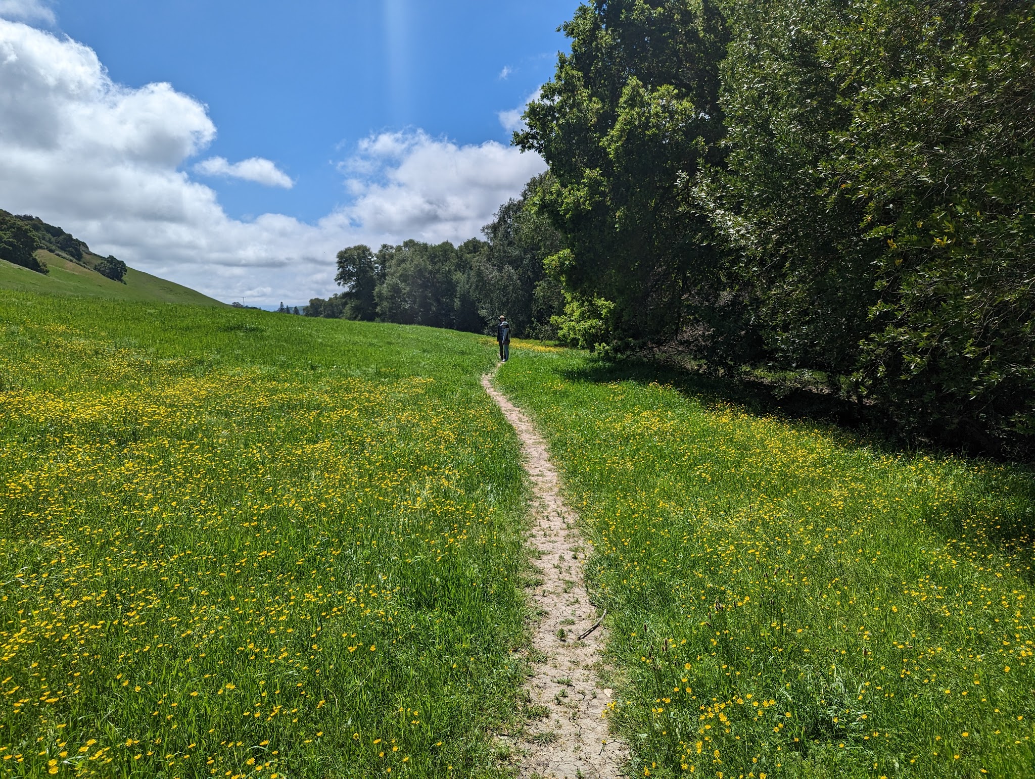 Las Trampas Regional Wilderness