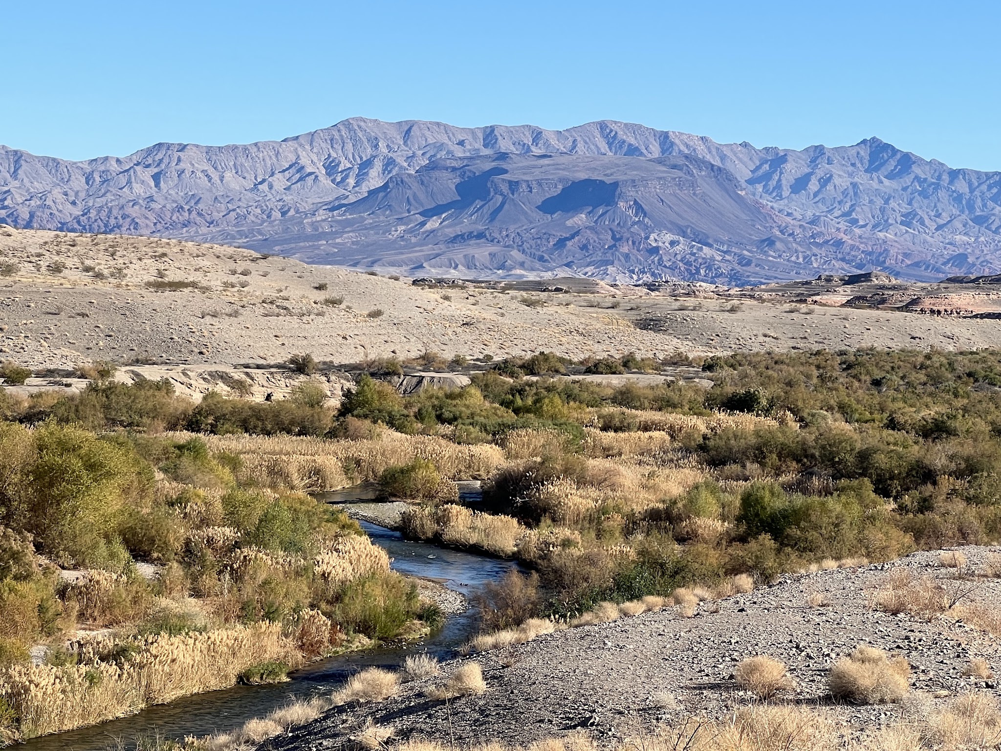 Las Vegas Bay Campground (Lake Mead)