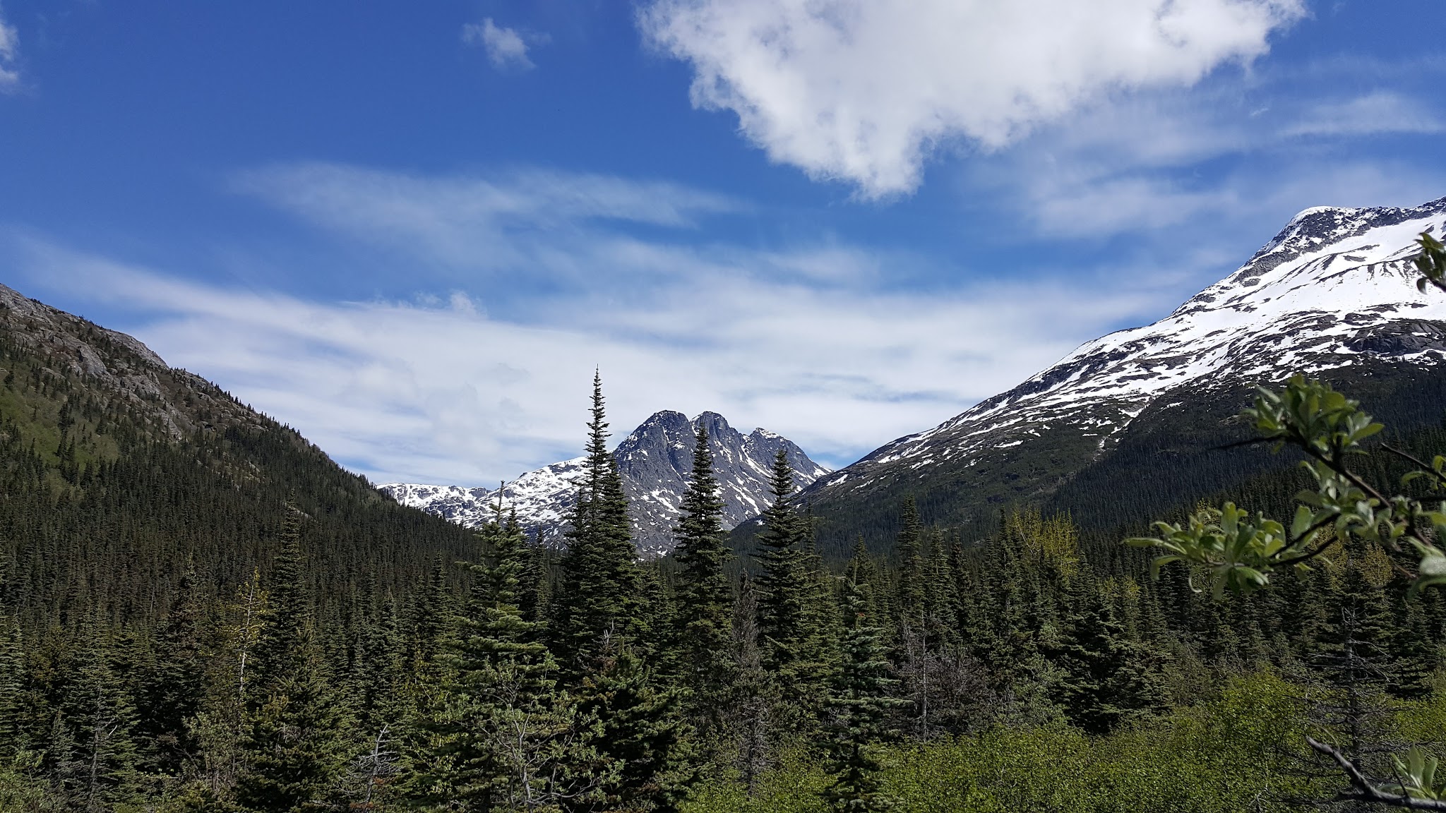Laughton Glacier Cabin
