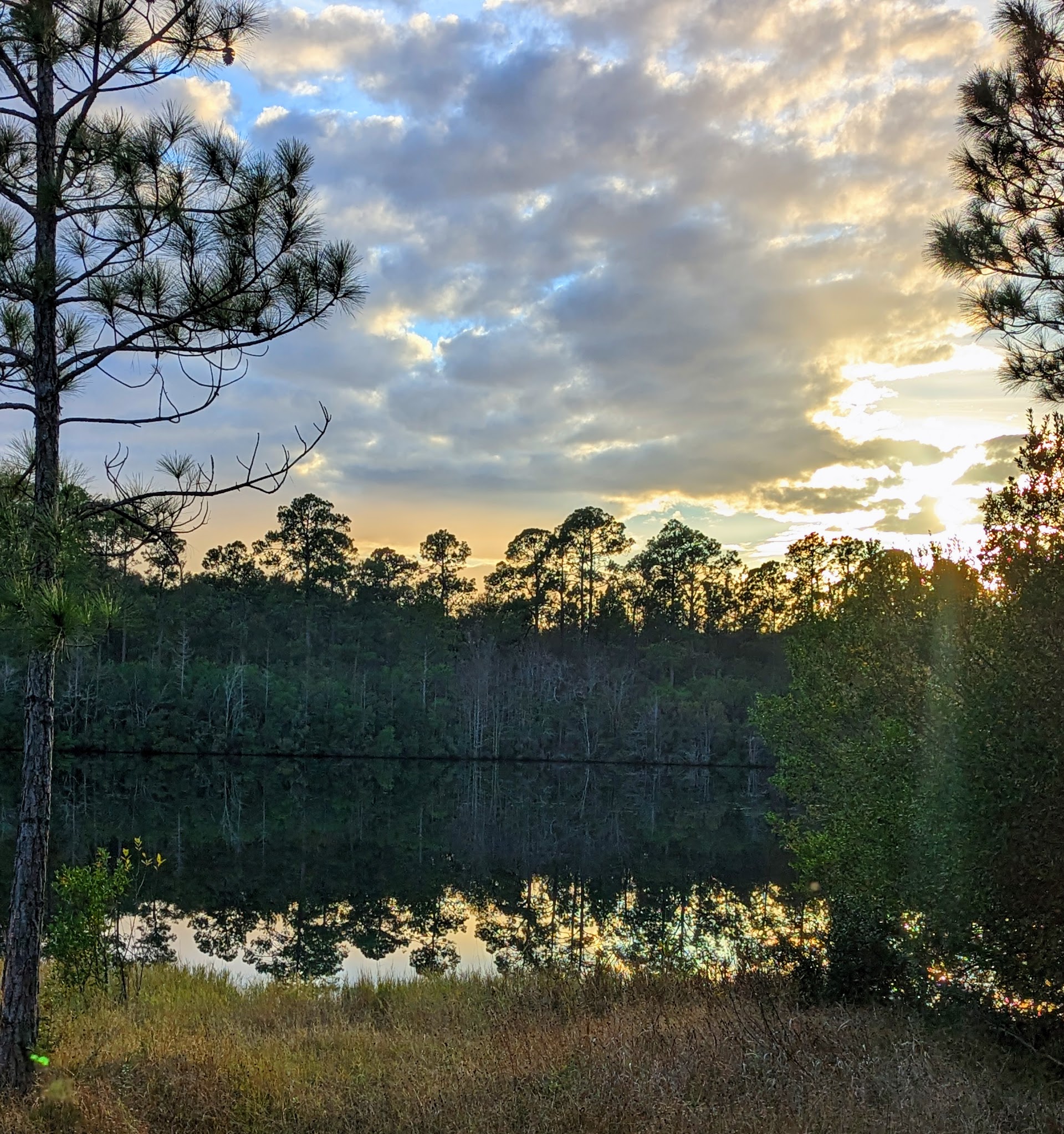 Laura S Walker State Park