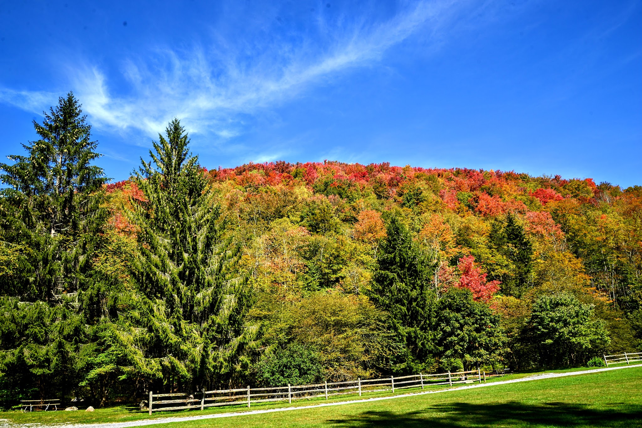Laurel Fork Campground