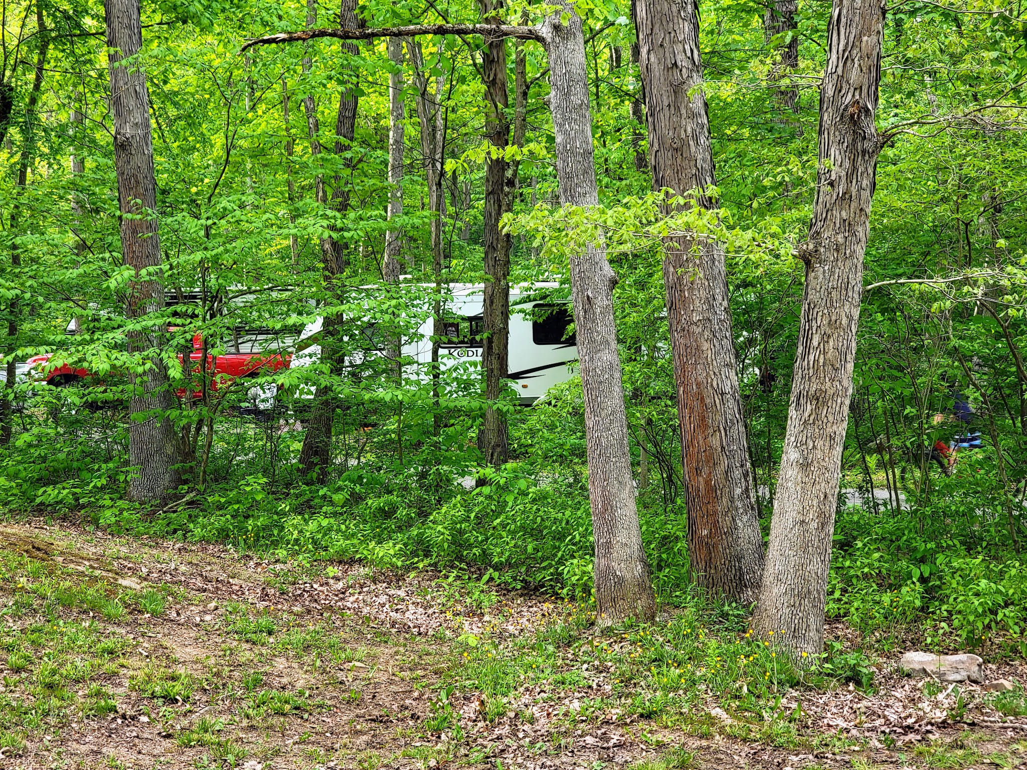 Laurel Hill State Park