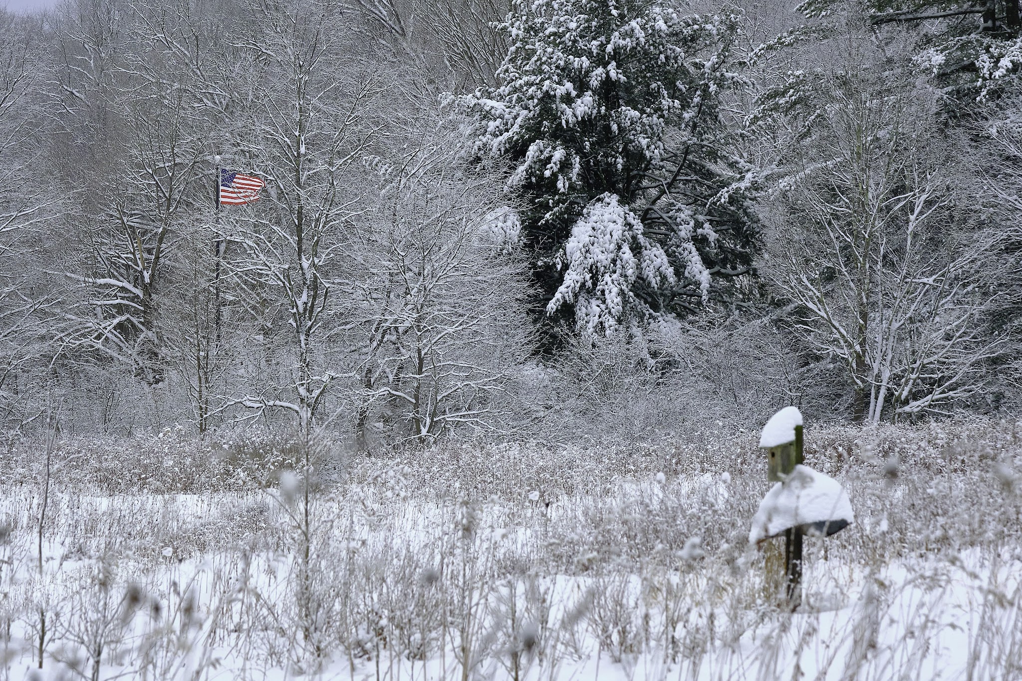 Laurel Hill State Park