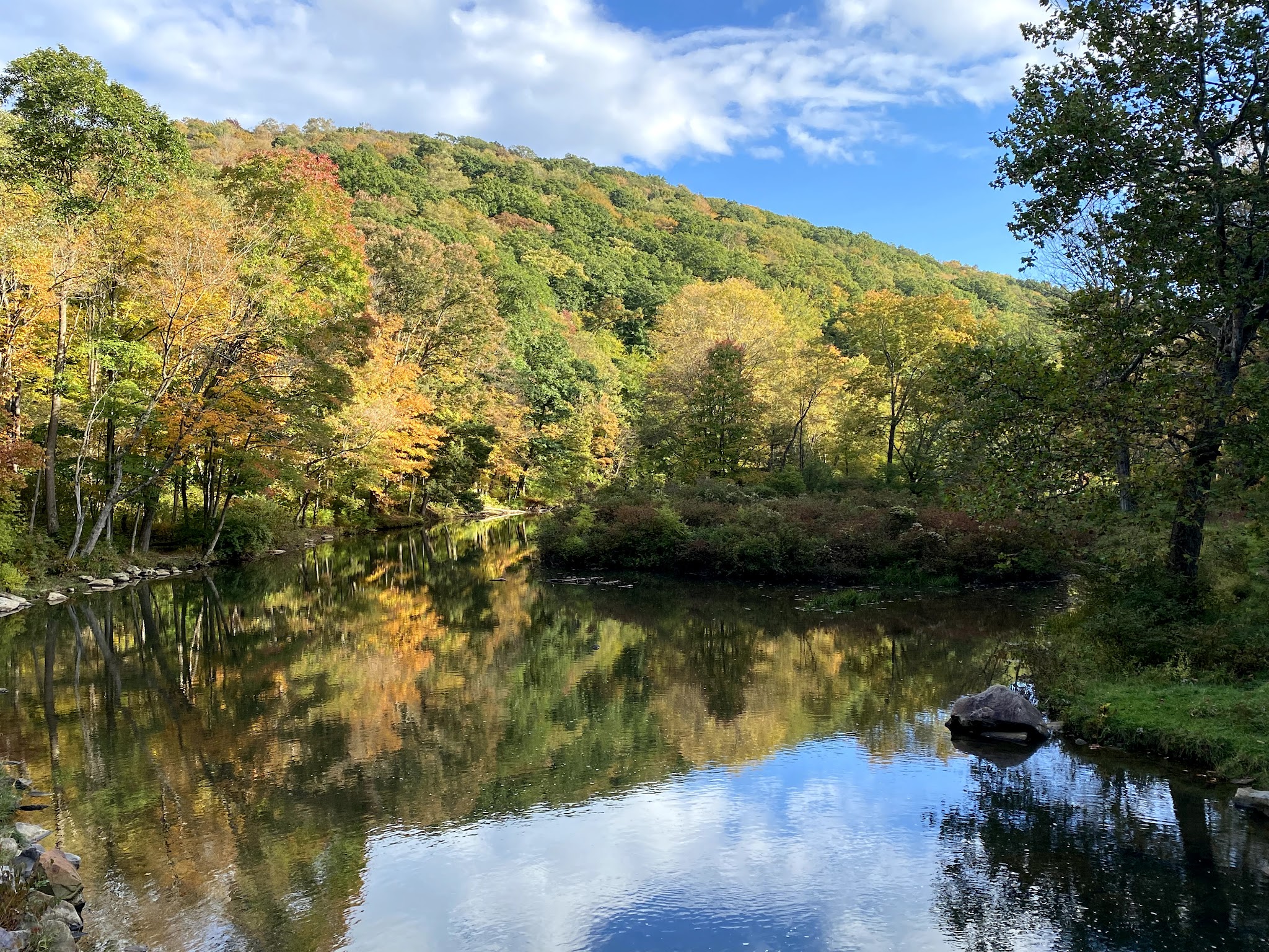 Laurel Hill State Park