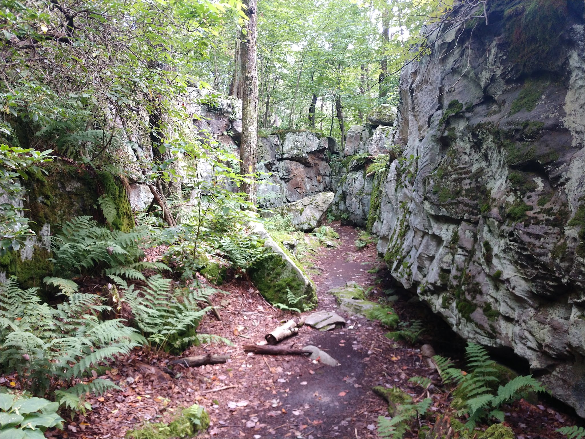 Laurel Ridge State Park