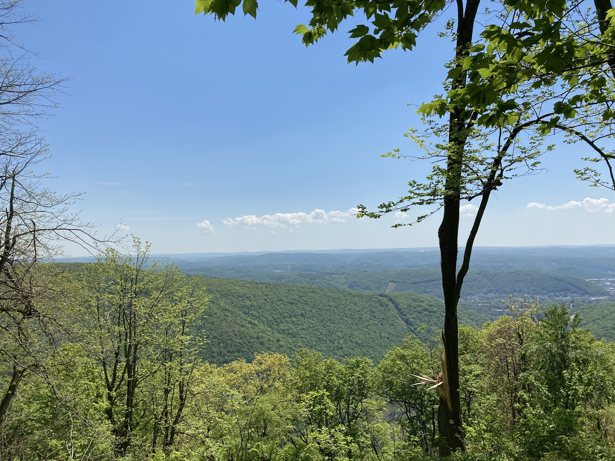 Laurel Ridge State Park