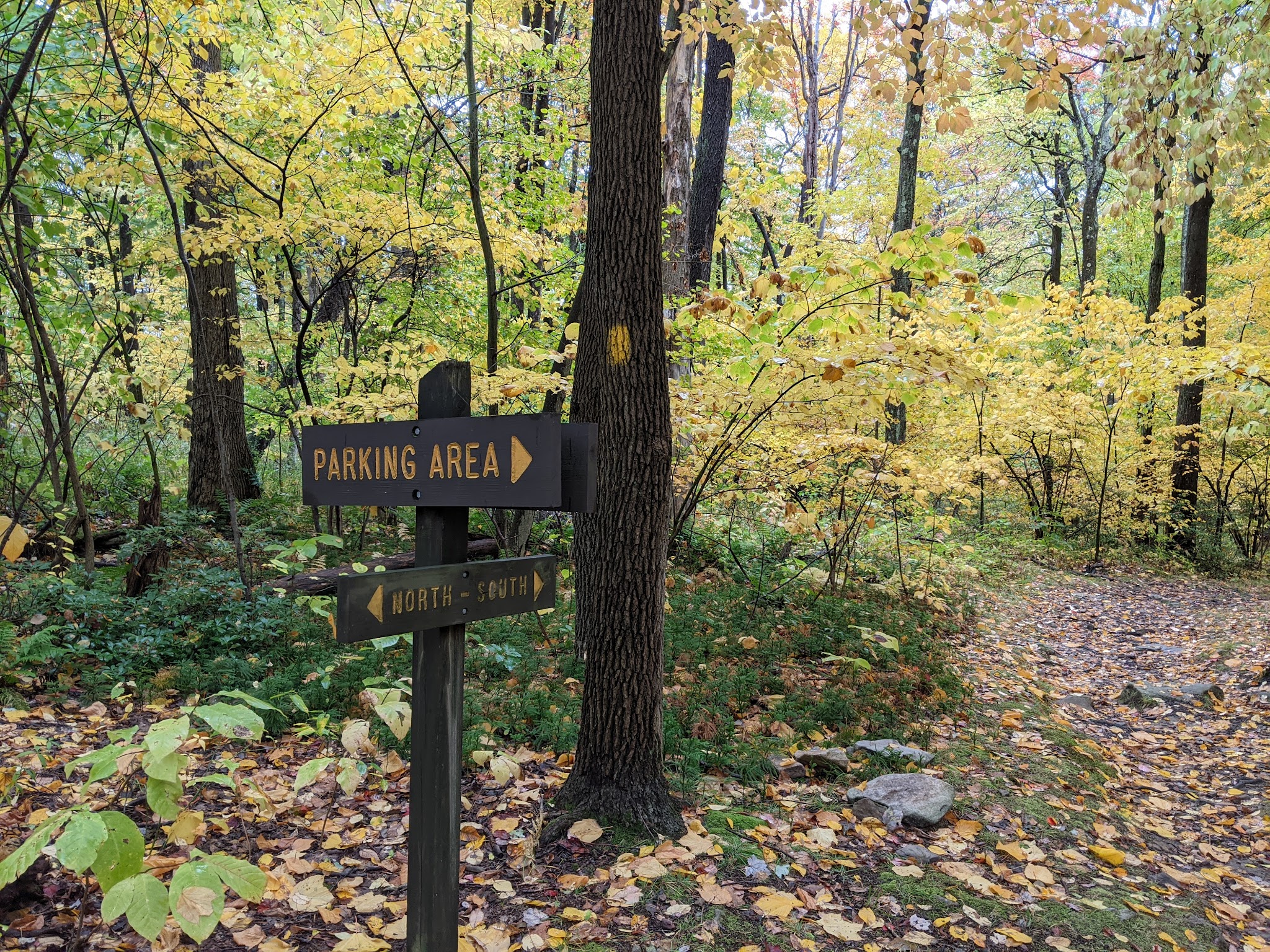 Laurel Ridge State Park