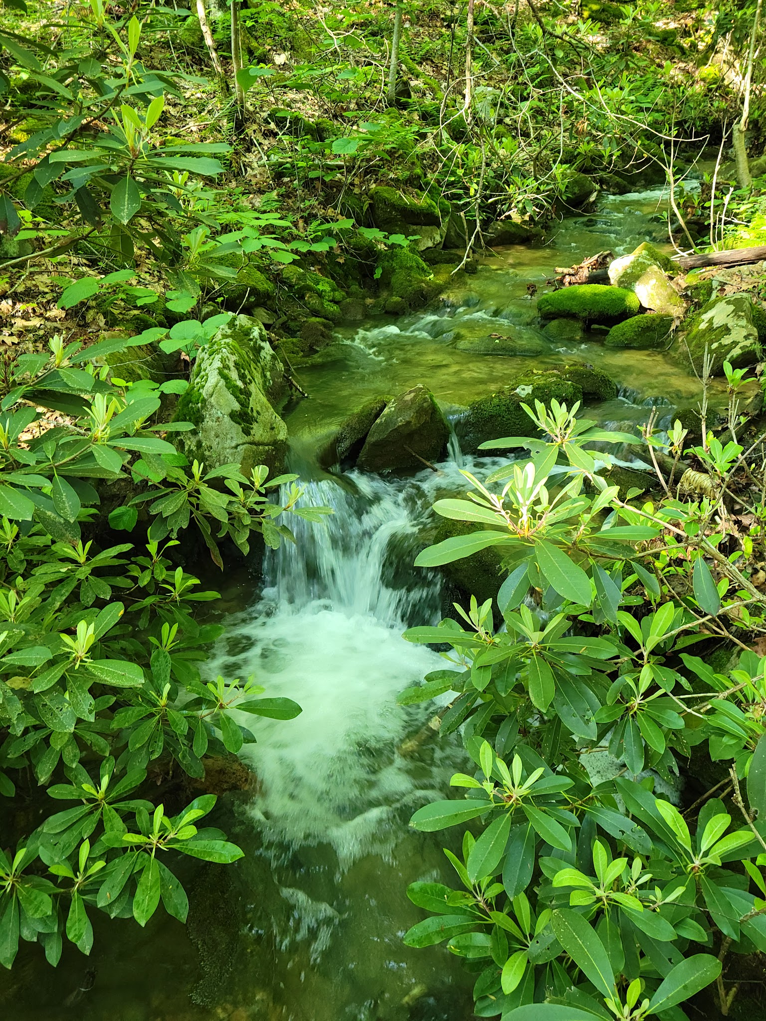 Laurel Ridge State Park