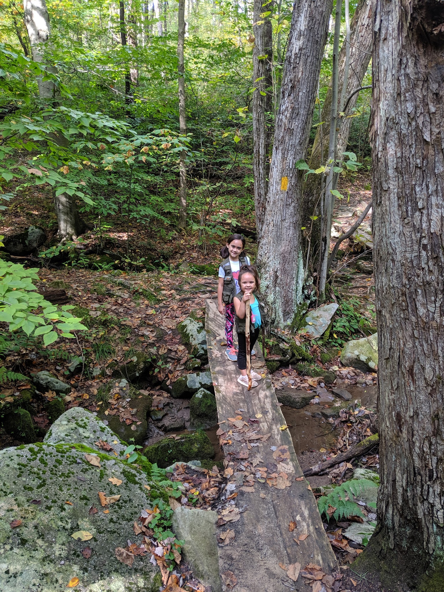 Laurel Ridge State Park