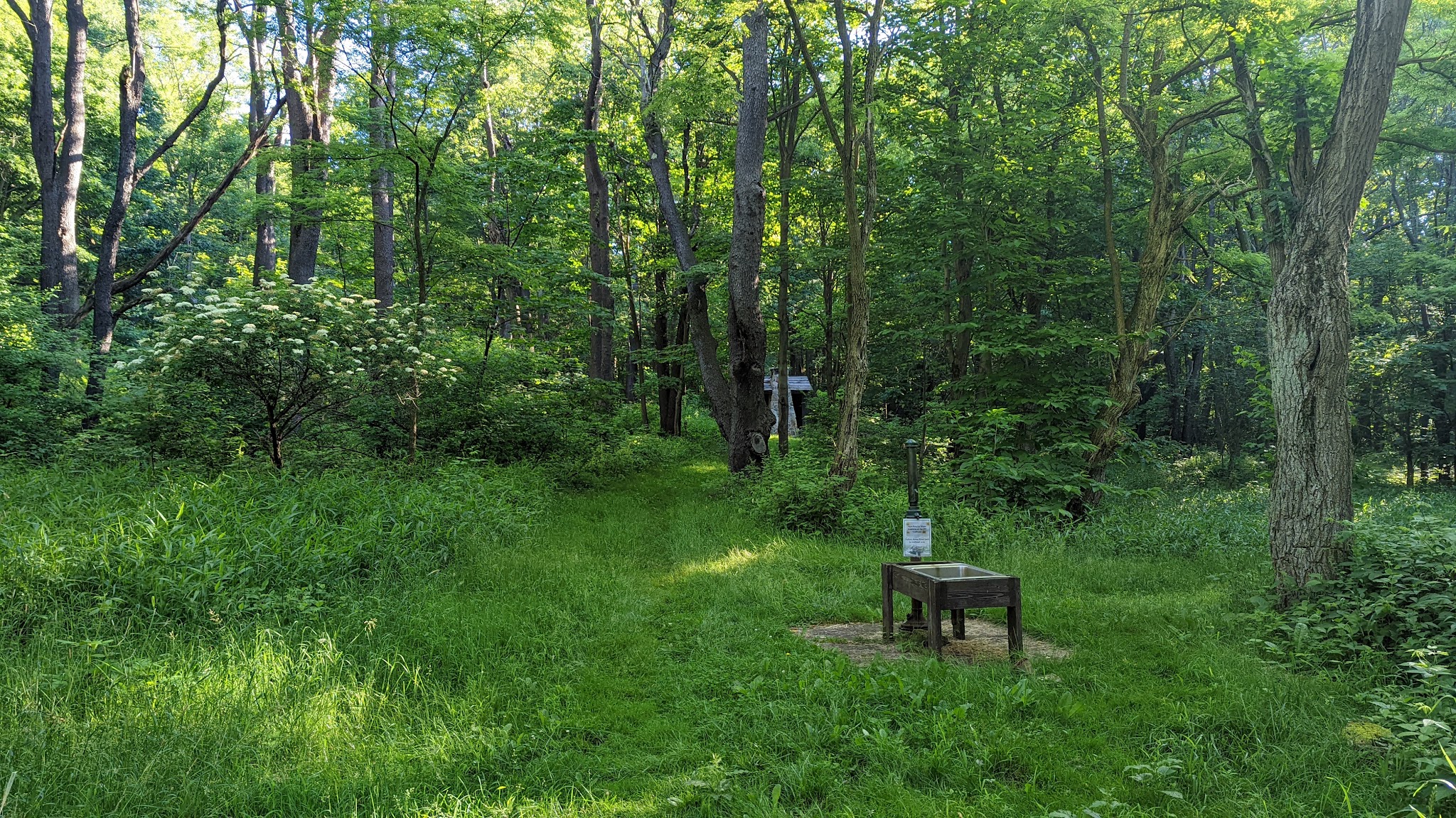Laurel Ridge State Park