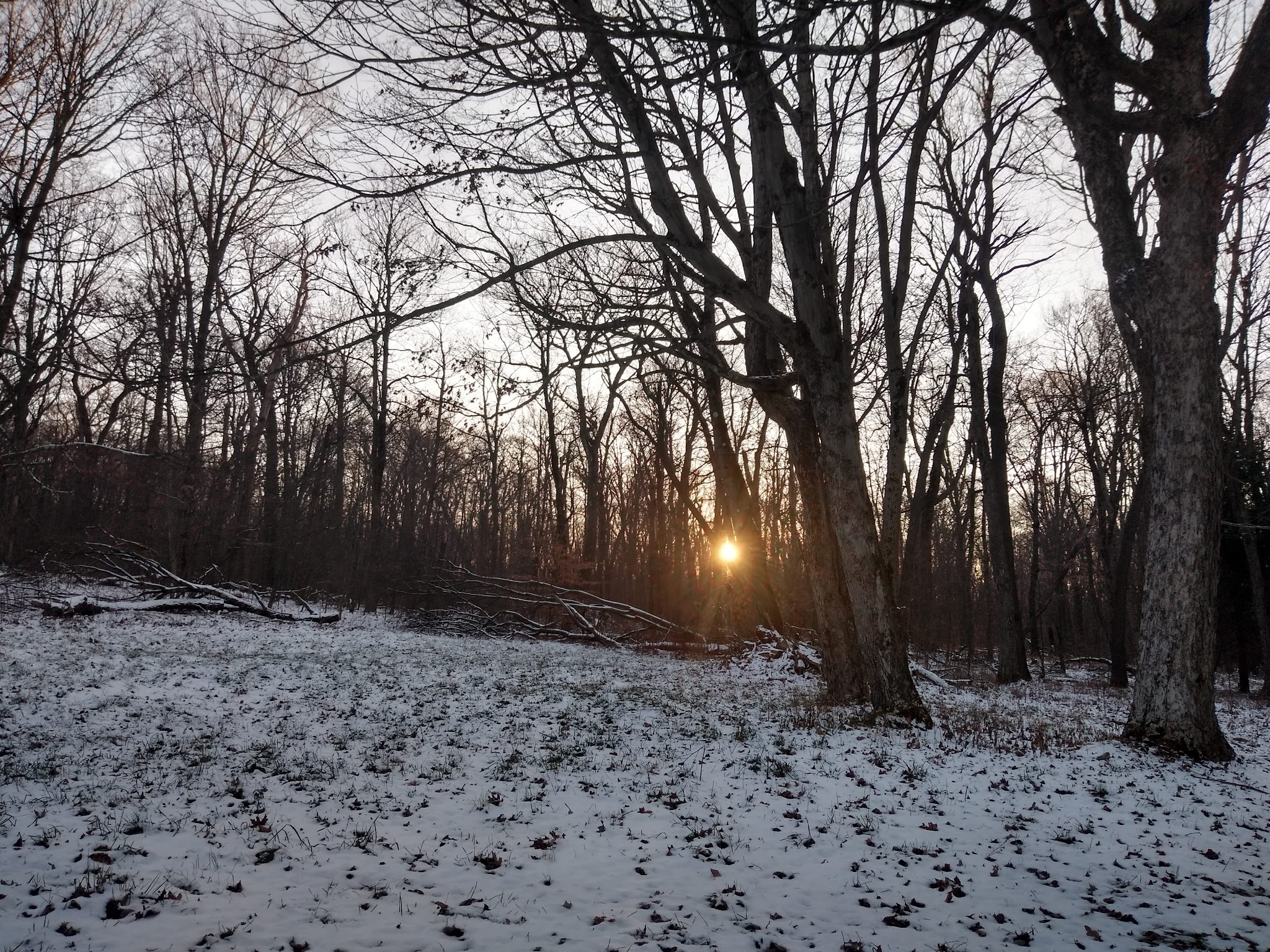 Laurel Ridge State Park