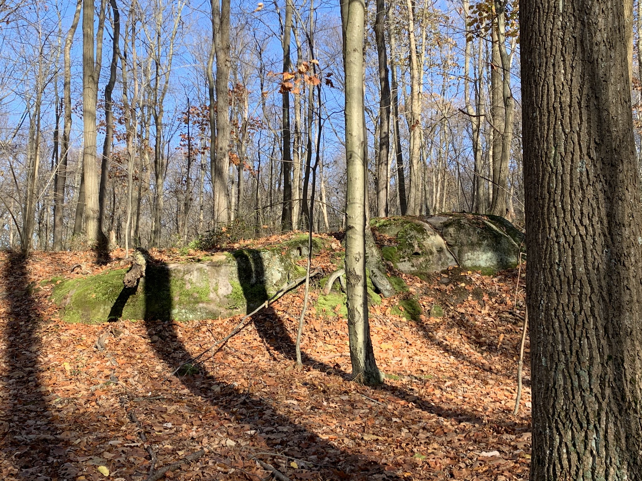 Laurel Ridge State Park