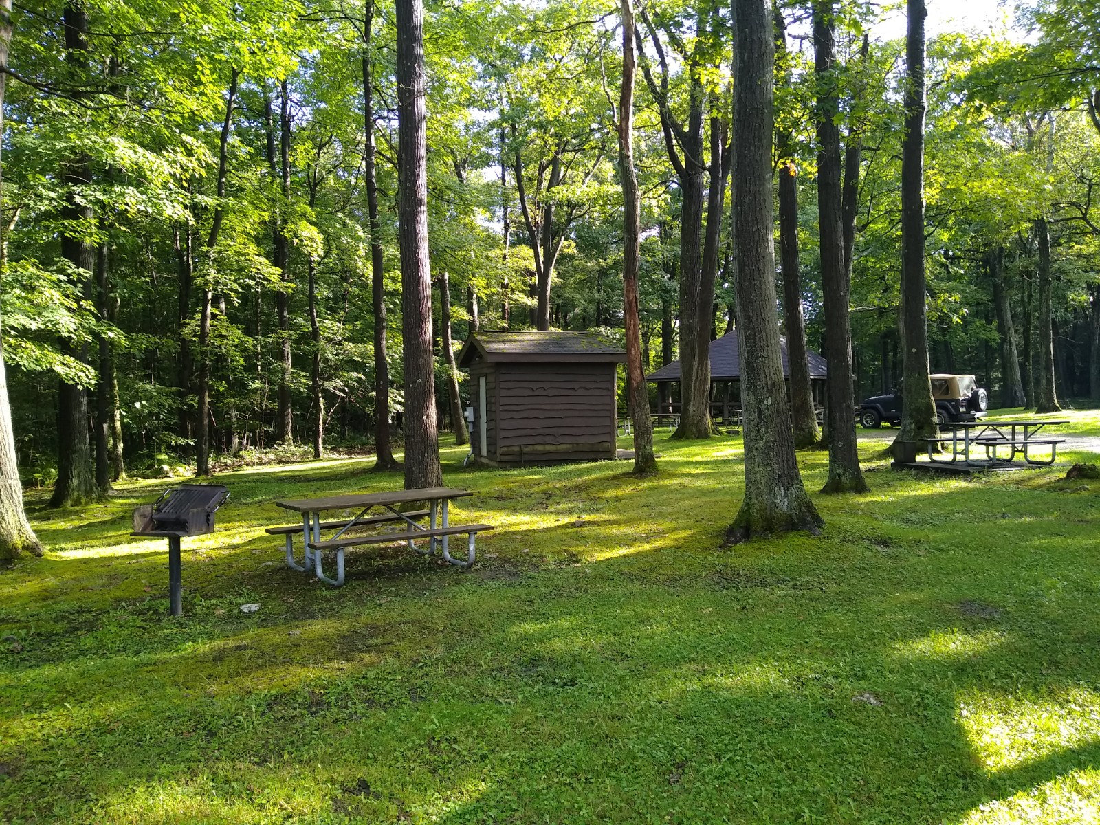 Laurel Summit State Park