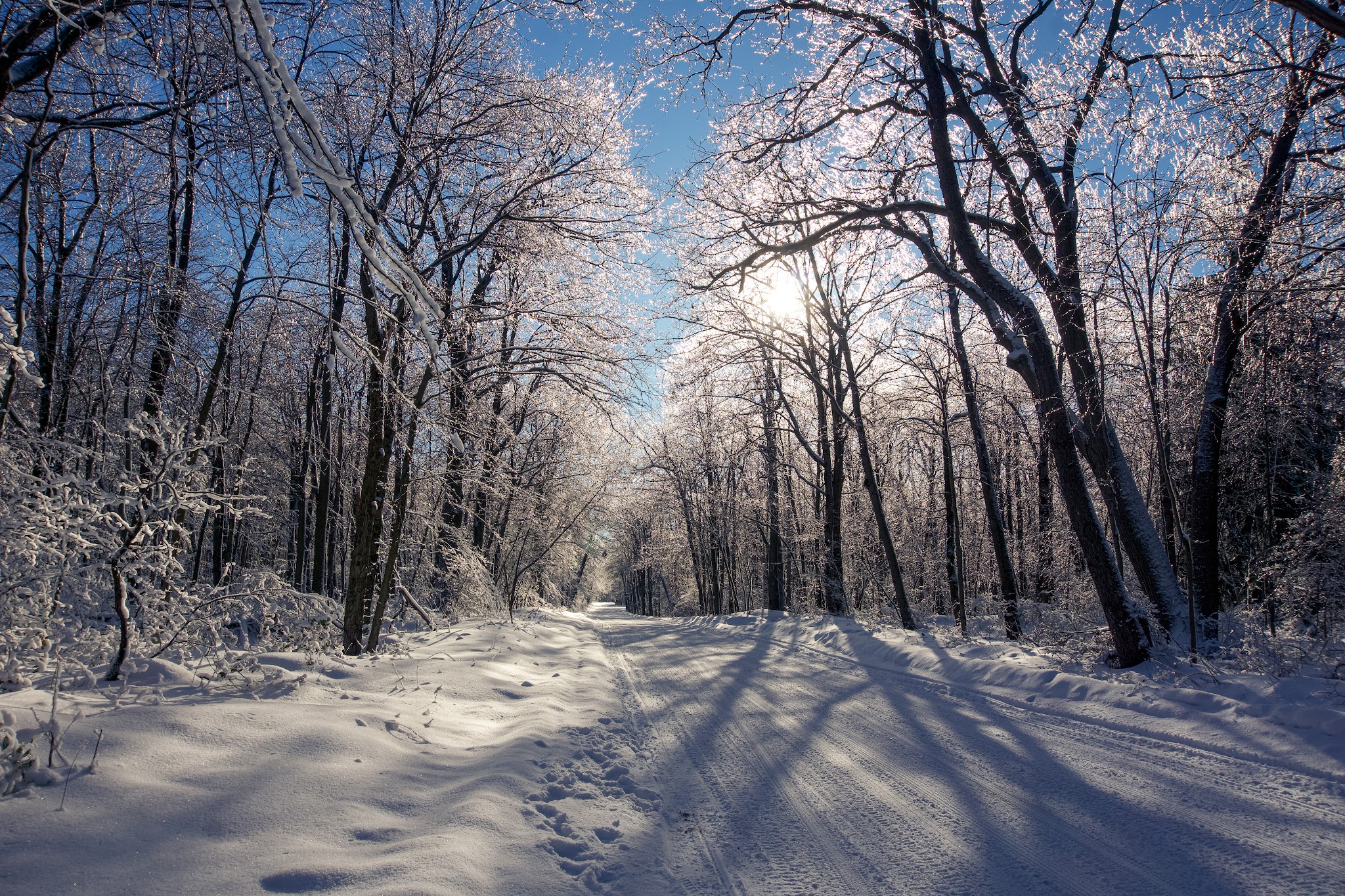 Laurel Summit State Park