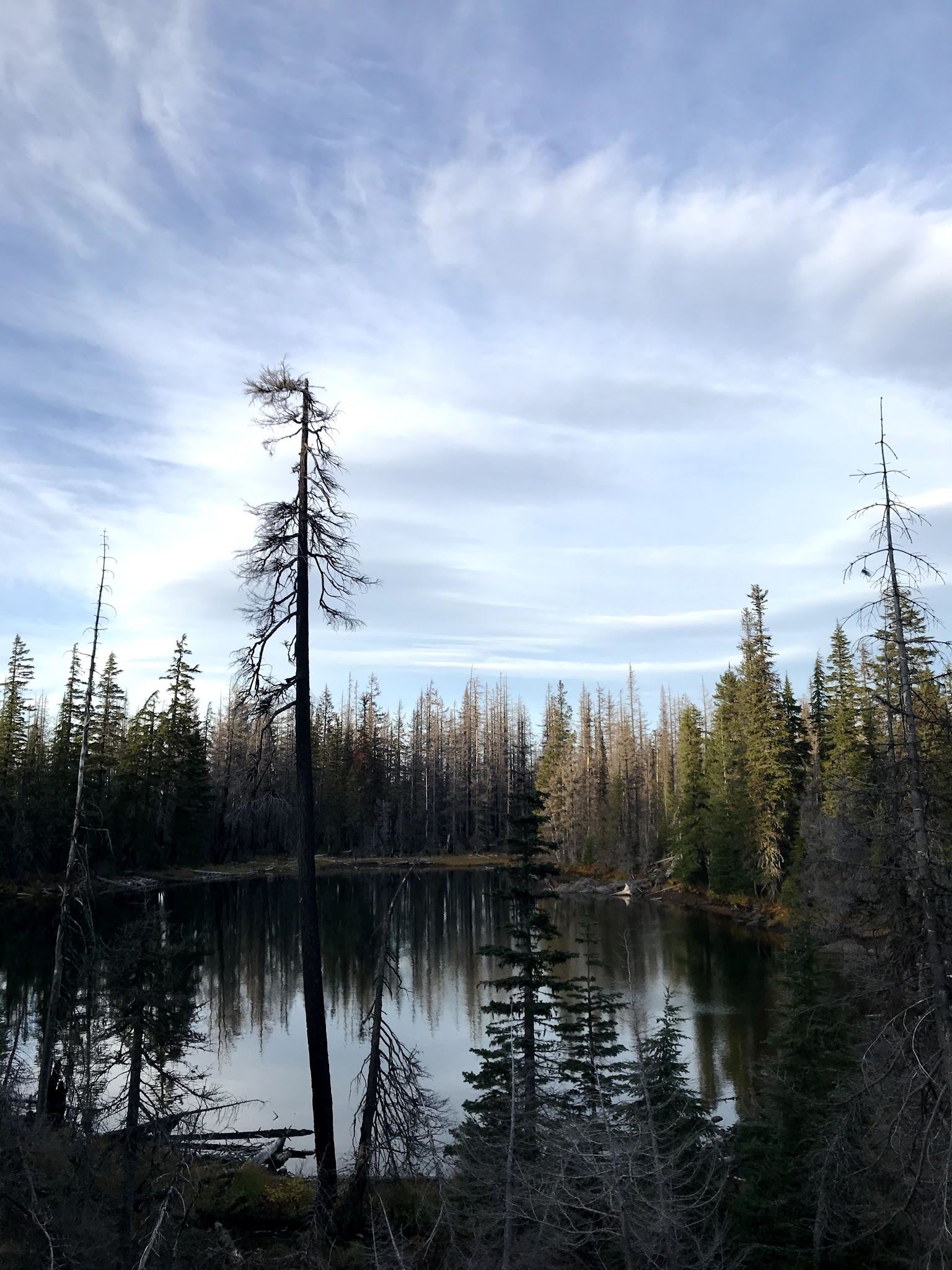 Lava Camp Lake Campground