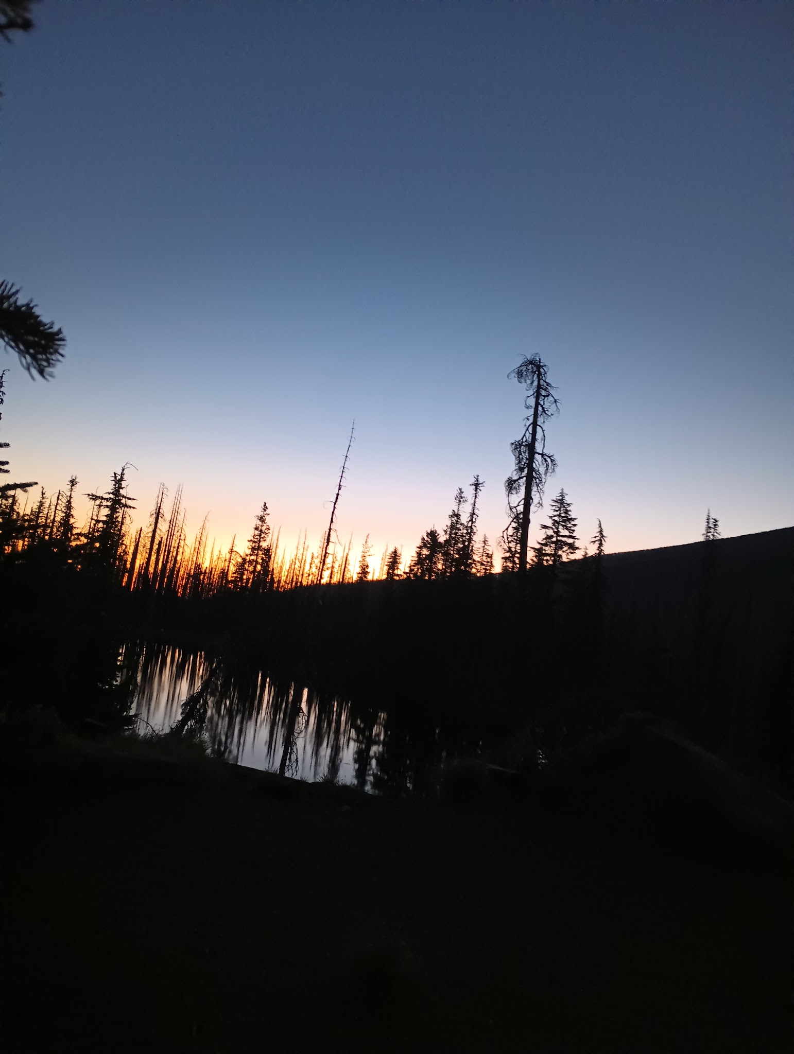 Lava Camp Lake Campground