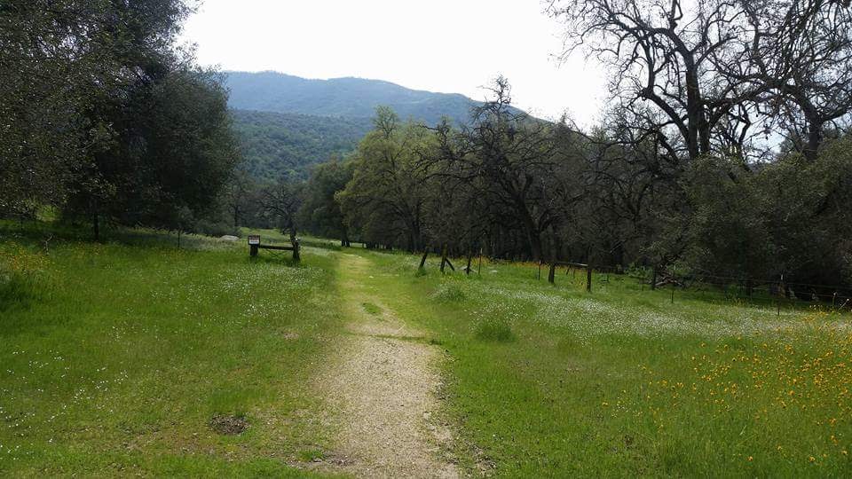 Leavis Flat Campground