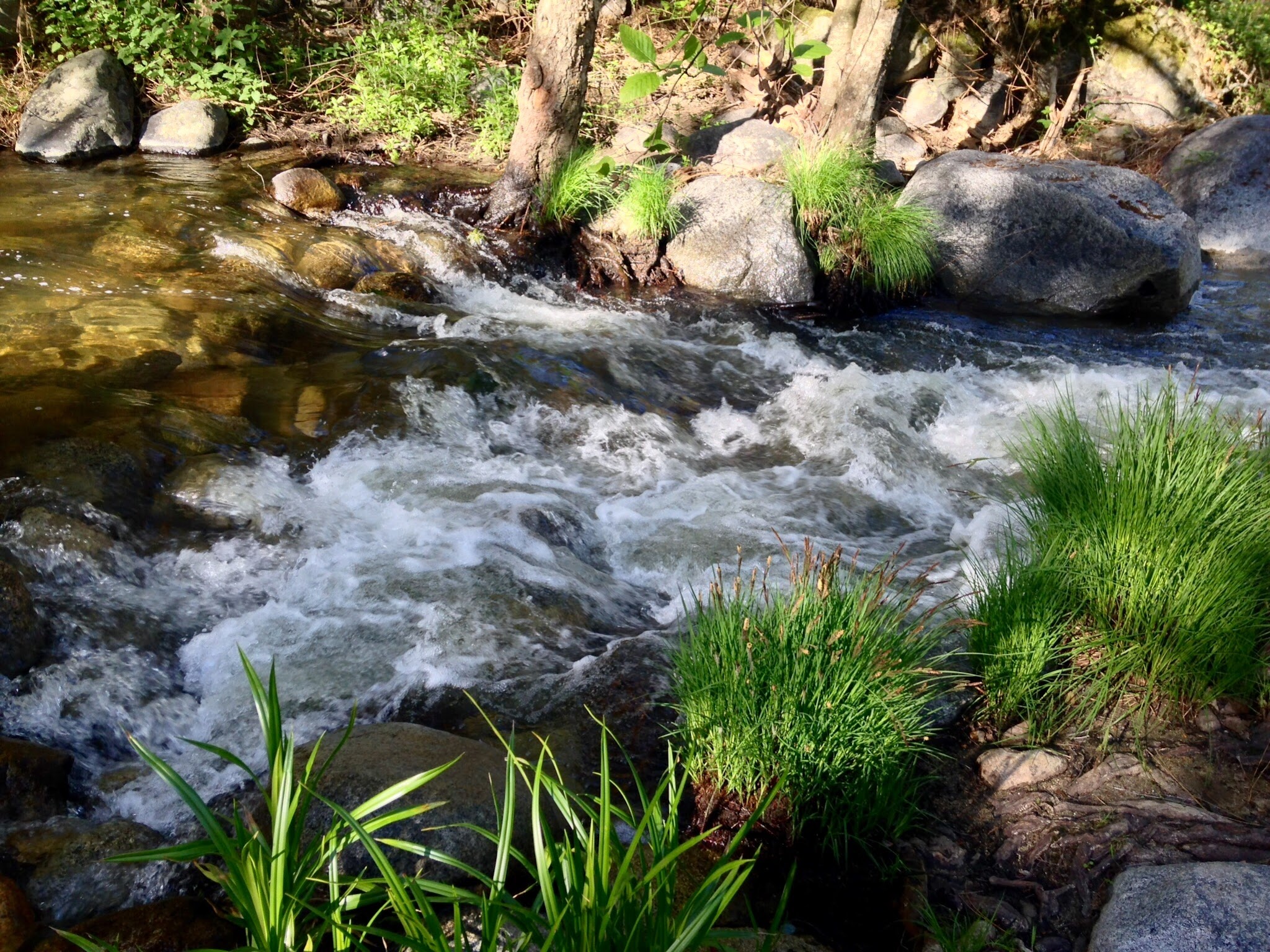 Leavis Flat Campground