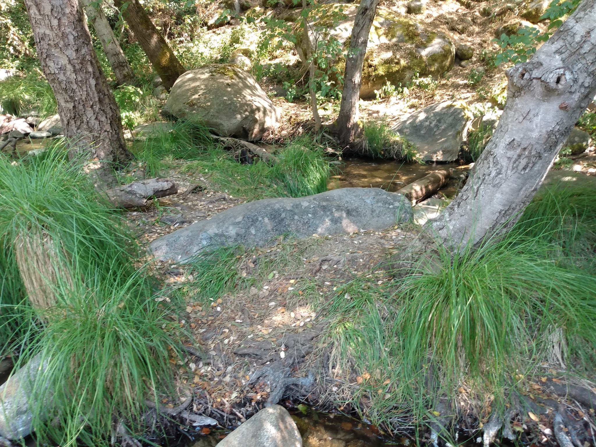 Leavis Flat Campground