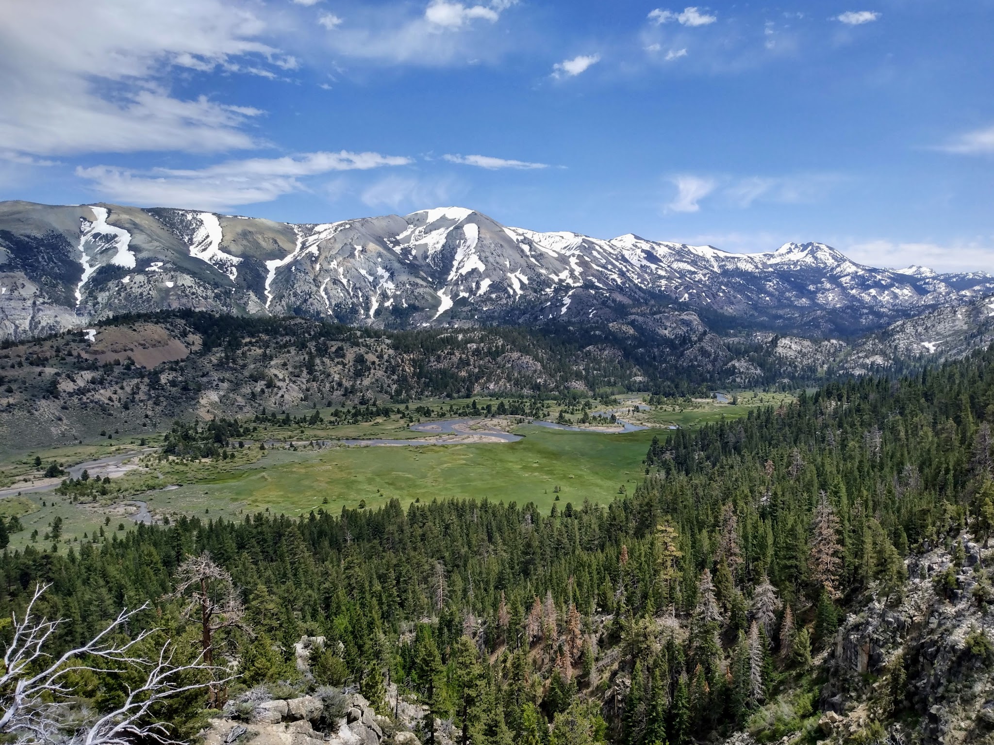 Leavitt Meadows Campground