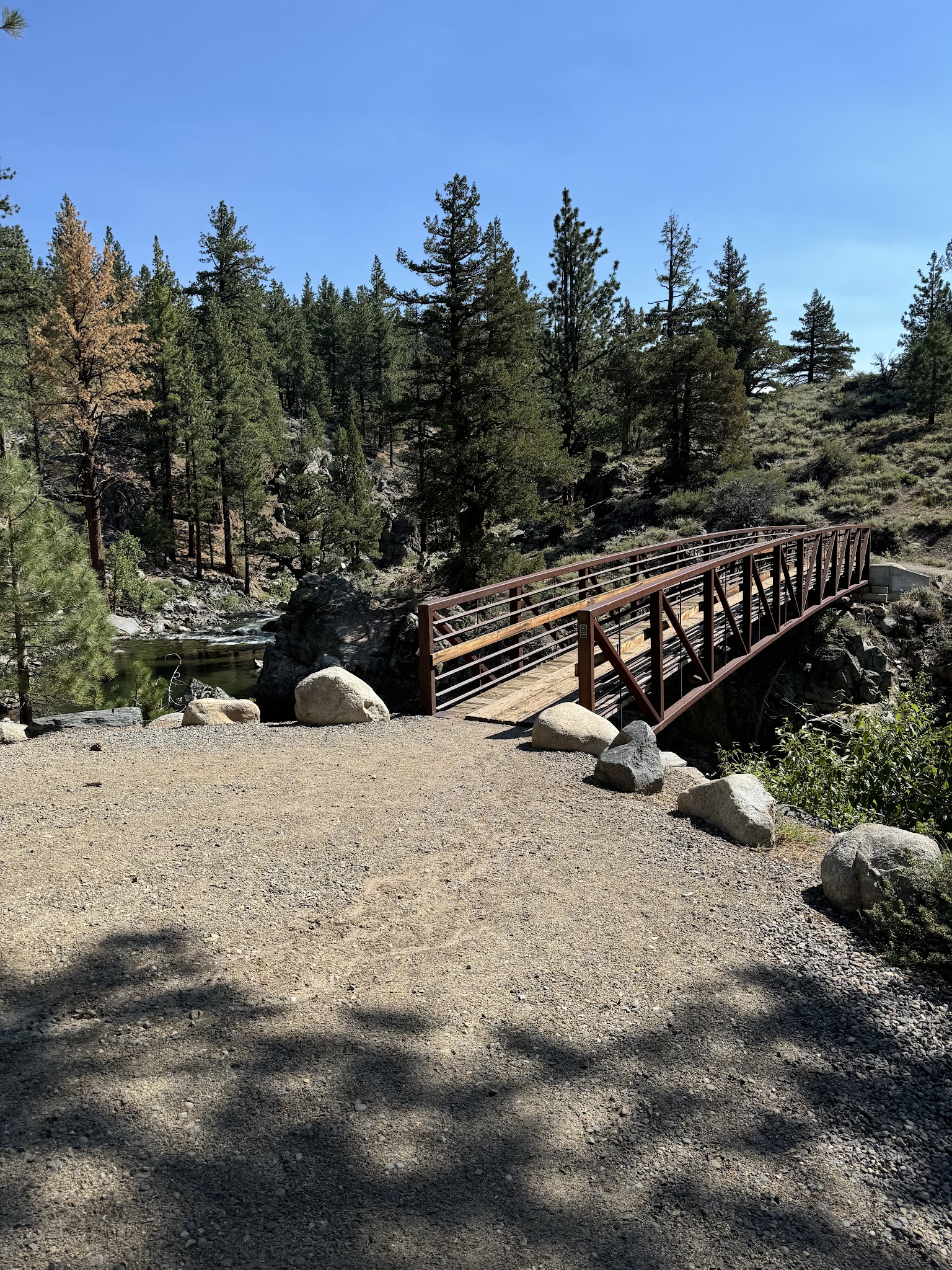 Leavitt Meadows Campground