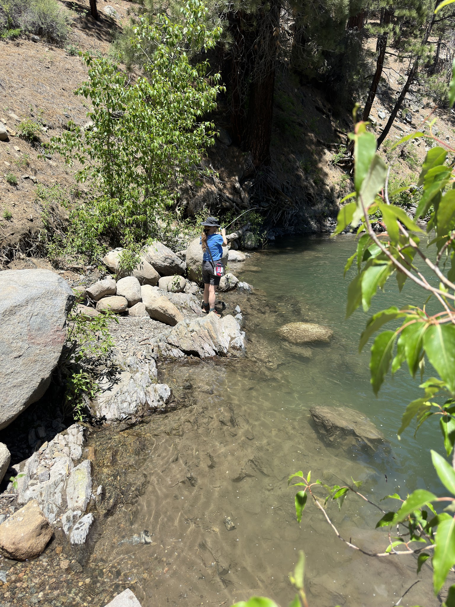 Leavitt Meadows Campground