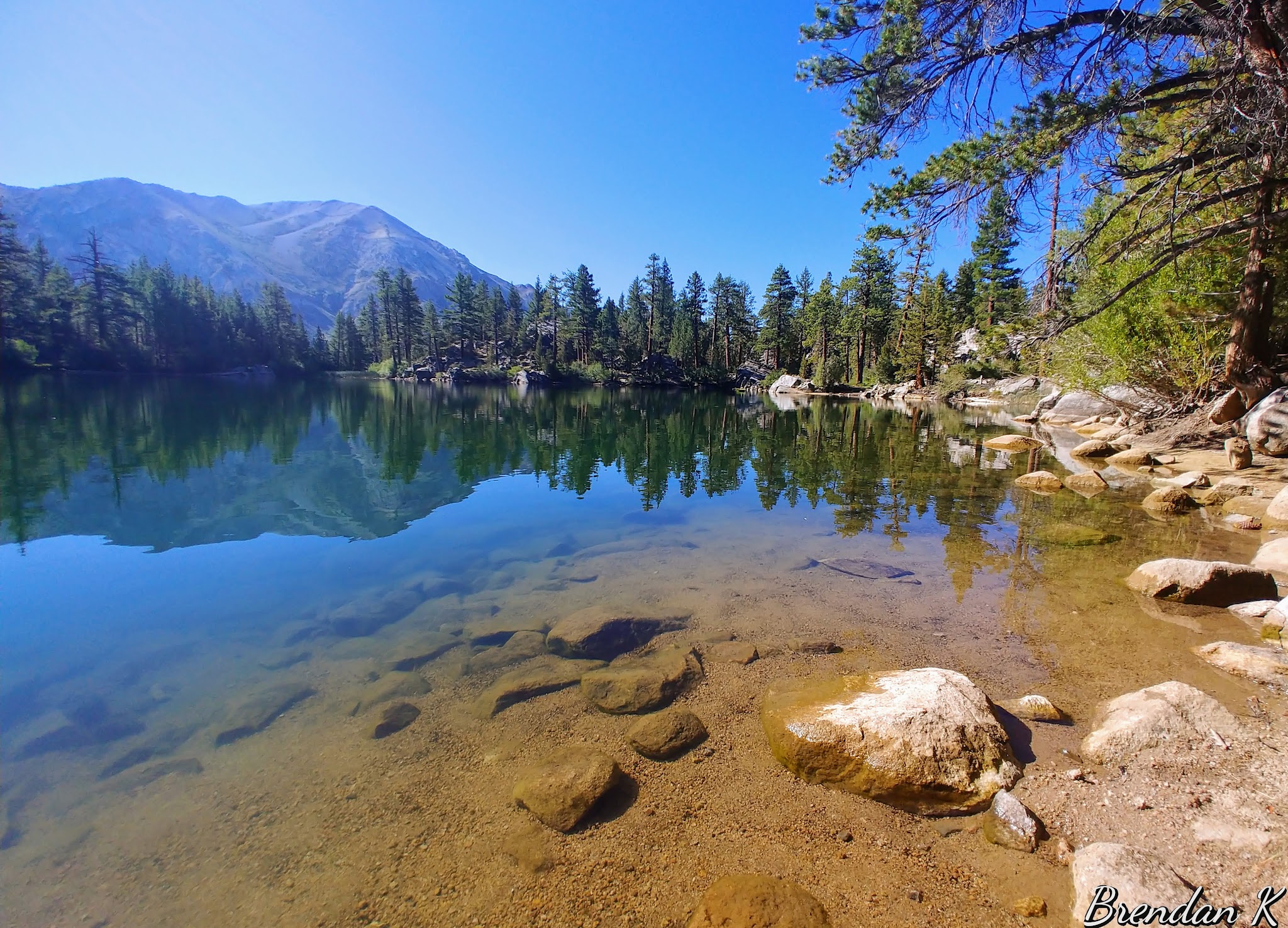 Leavitt Meadows Campground