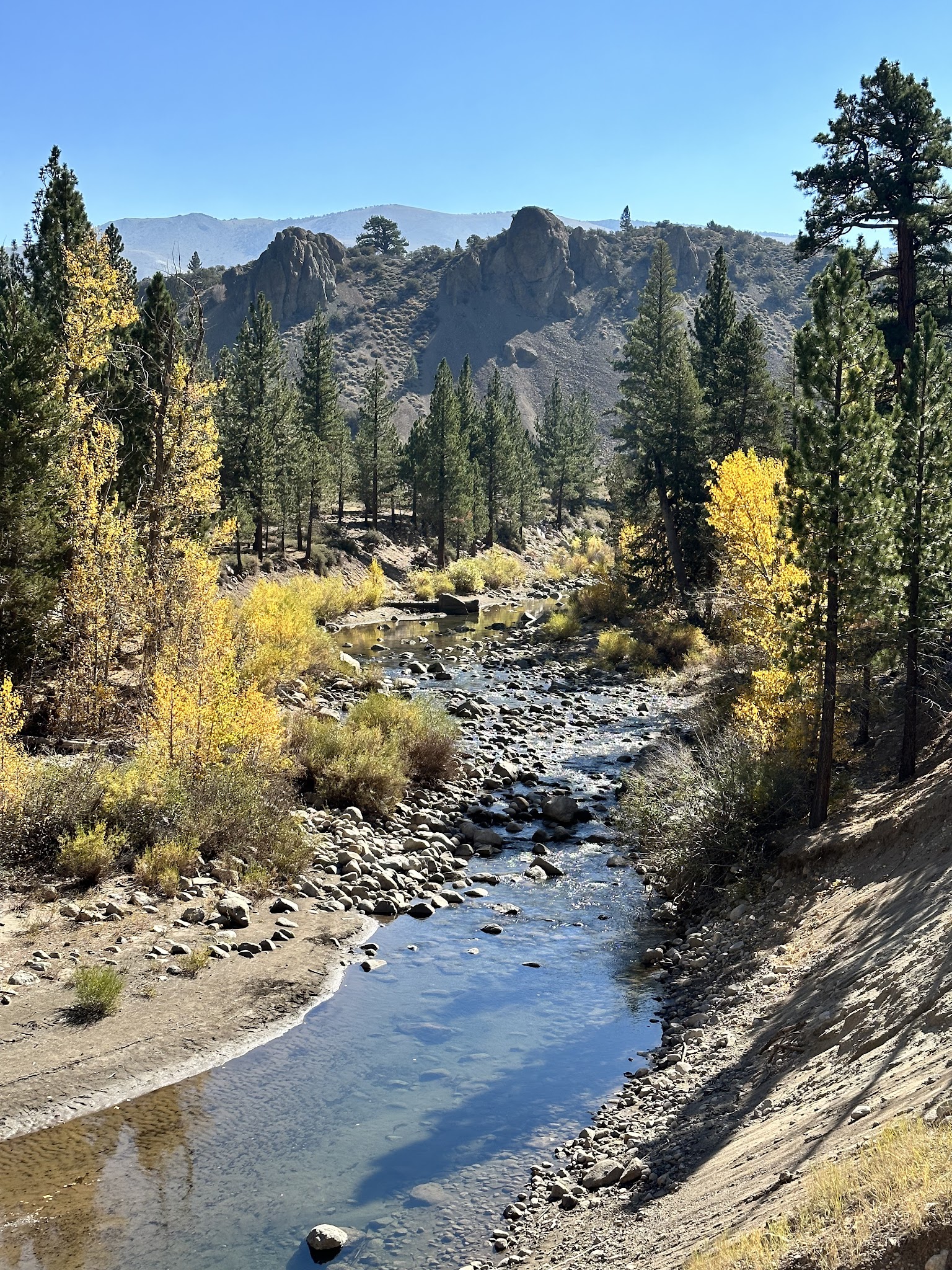 Leavitt Meadows Campground