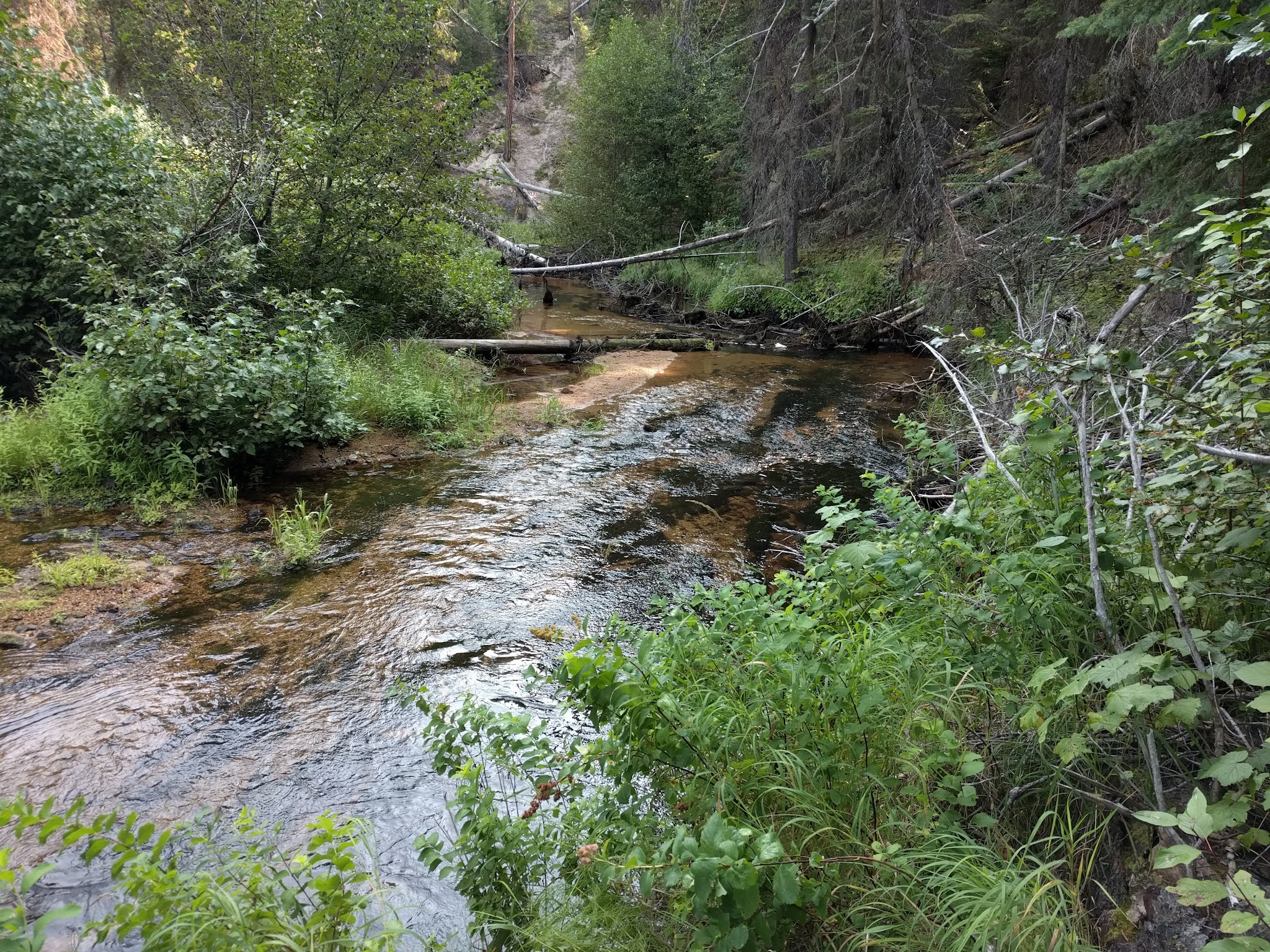 Lee Creek Campground