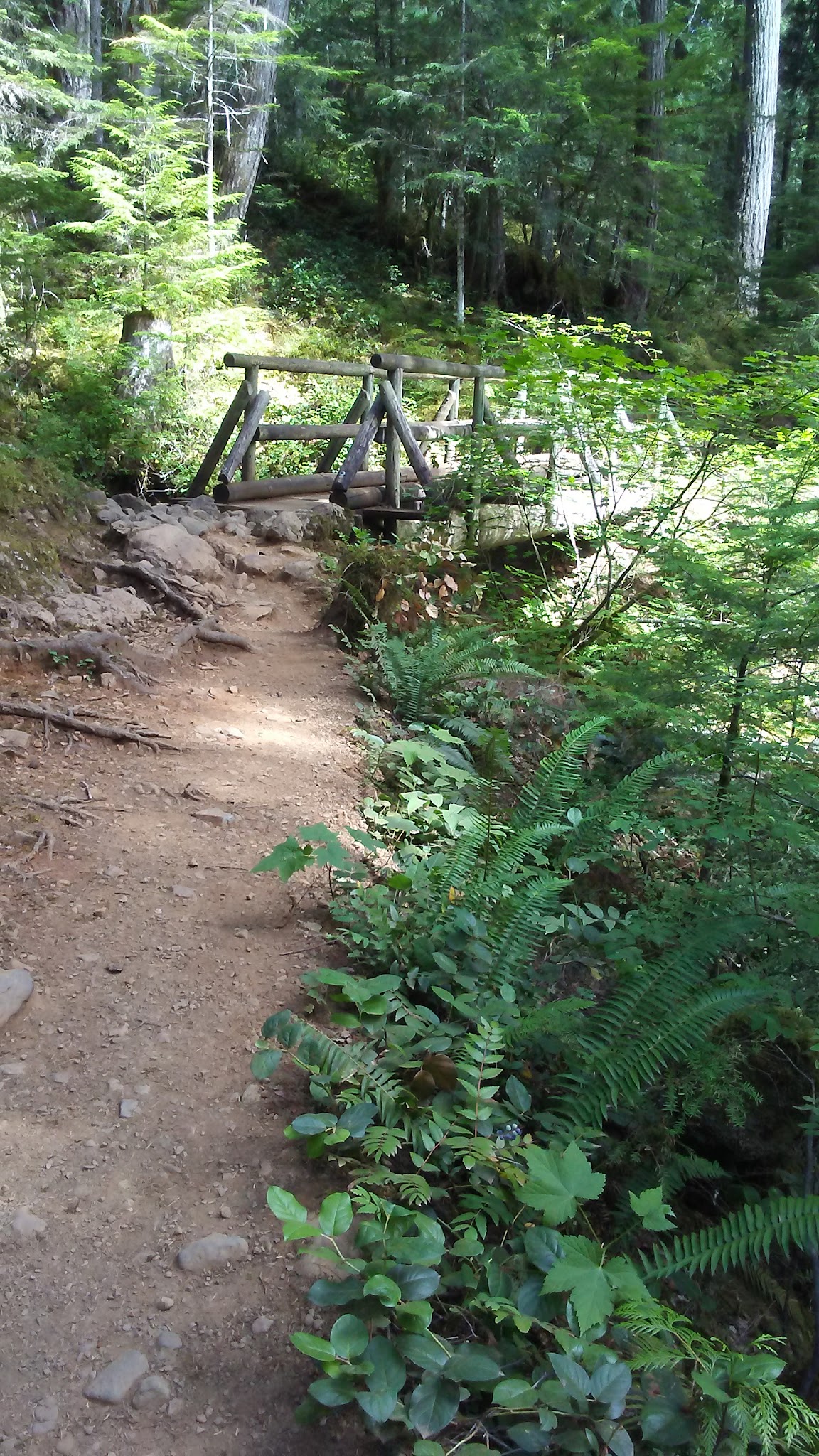 Lena Creek Campground
