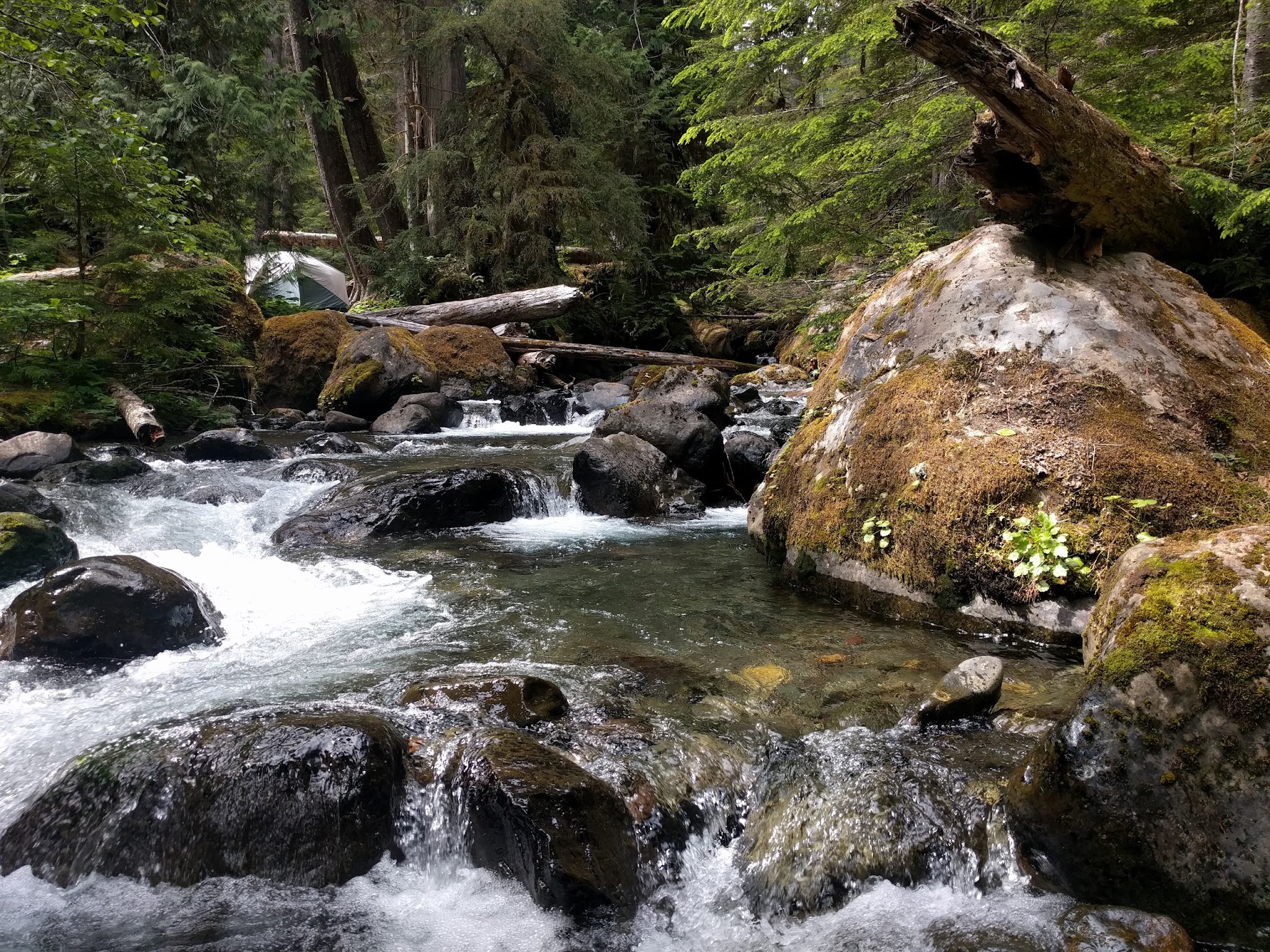 Lena Lake Campground