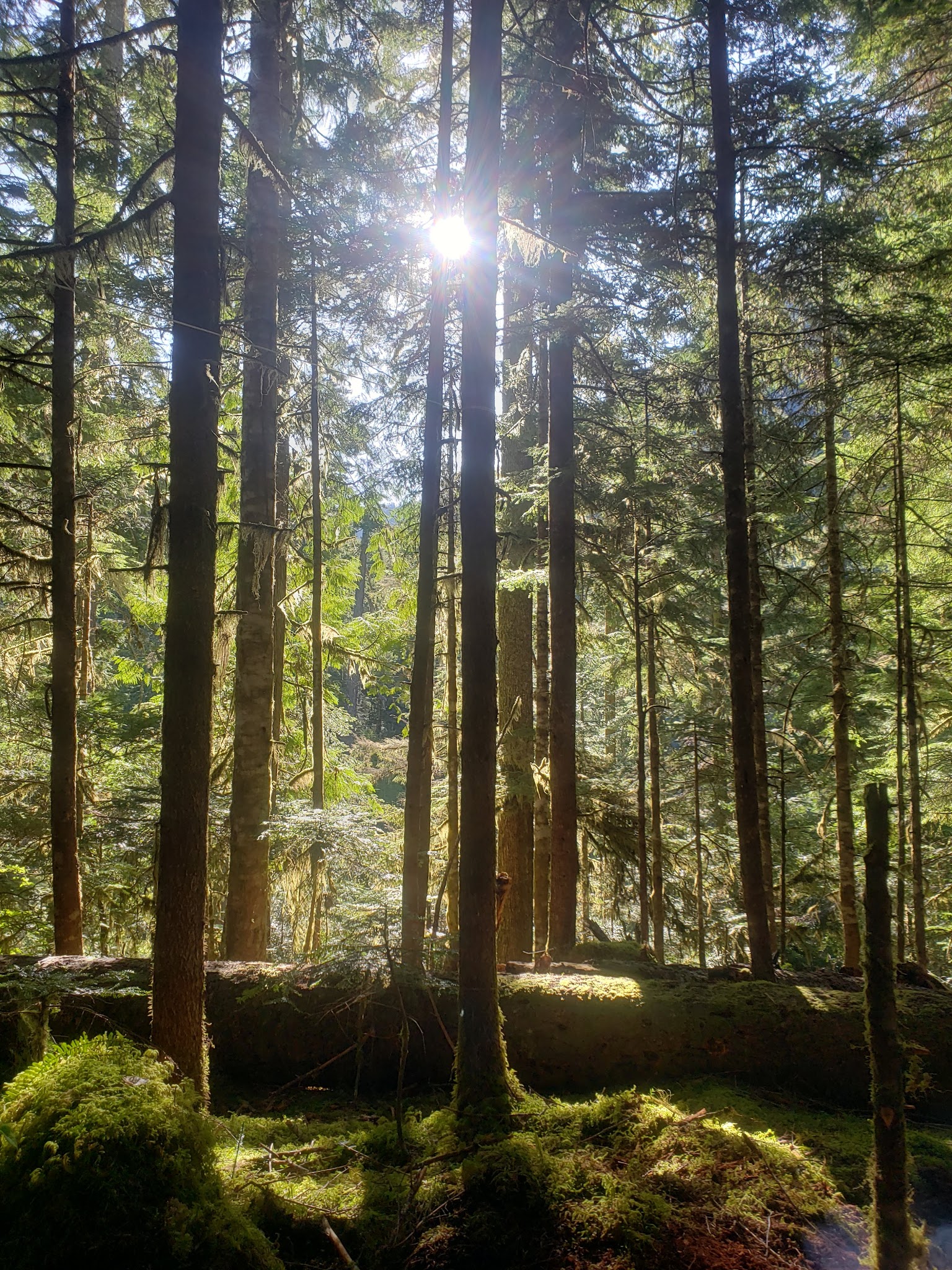 Lena Lake Campground