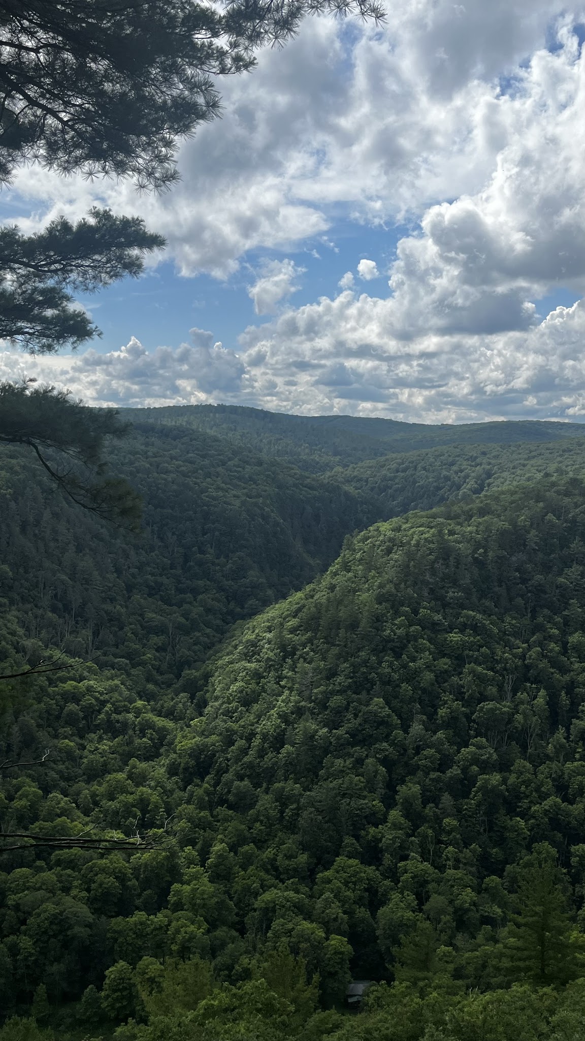 Leonard Harrison State Park