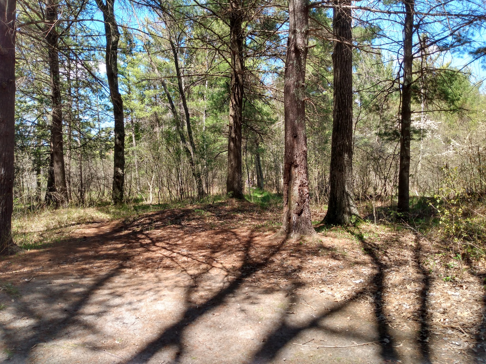 Leverentz Lake State Forest Campground