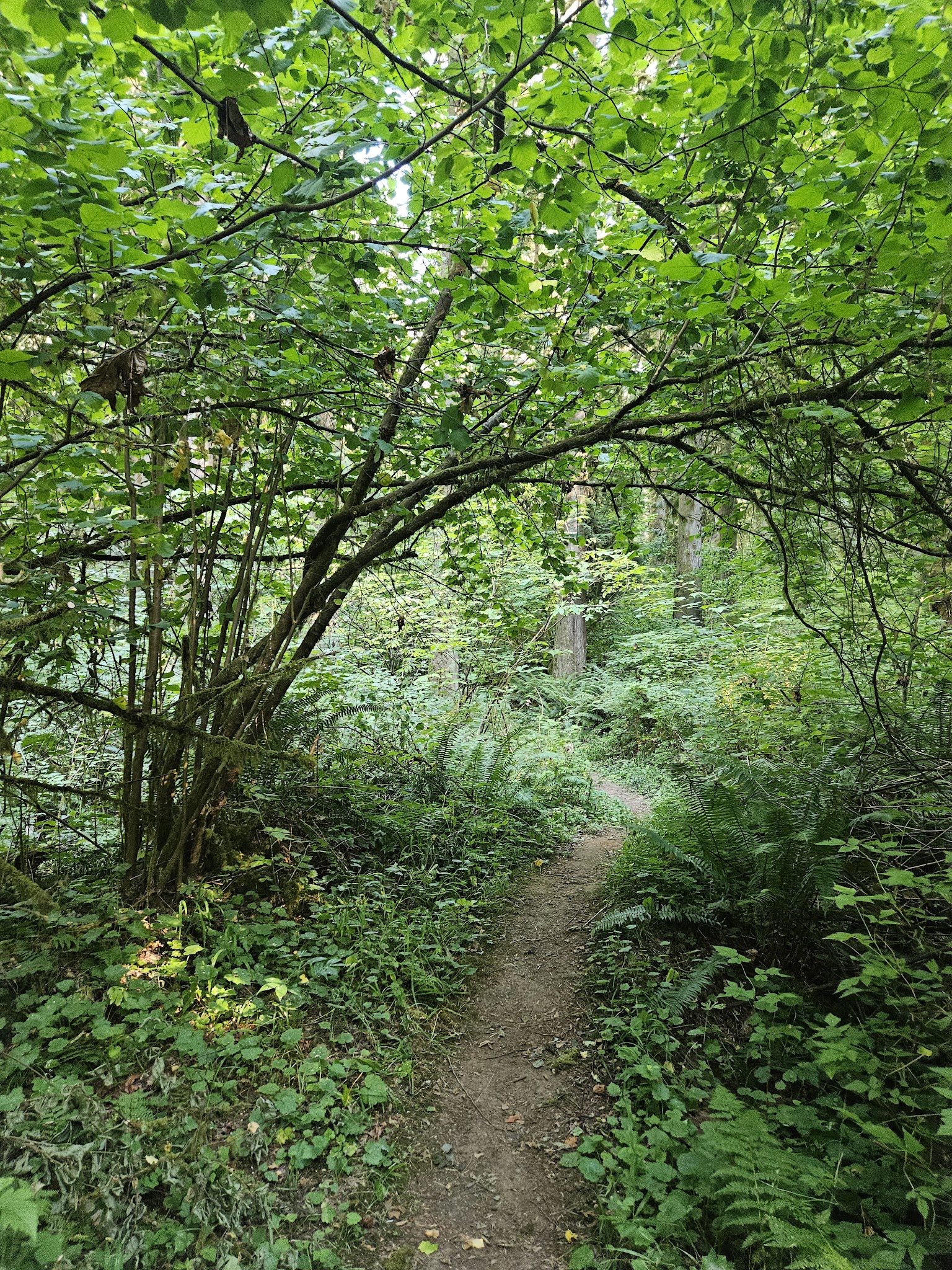 Lewis and Clark State Park (SW Washington)