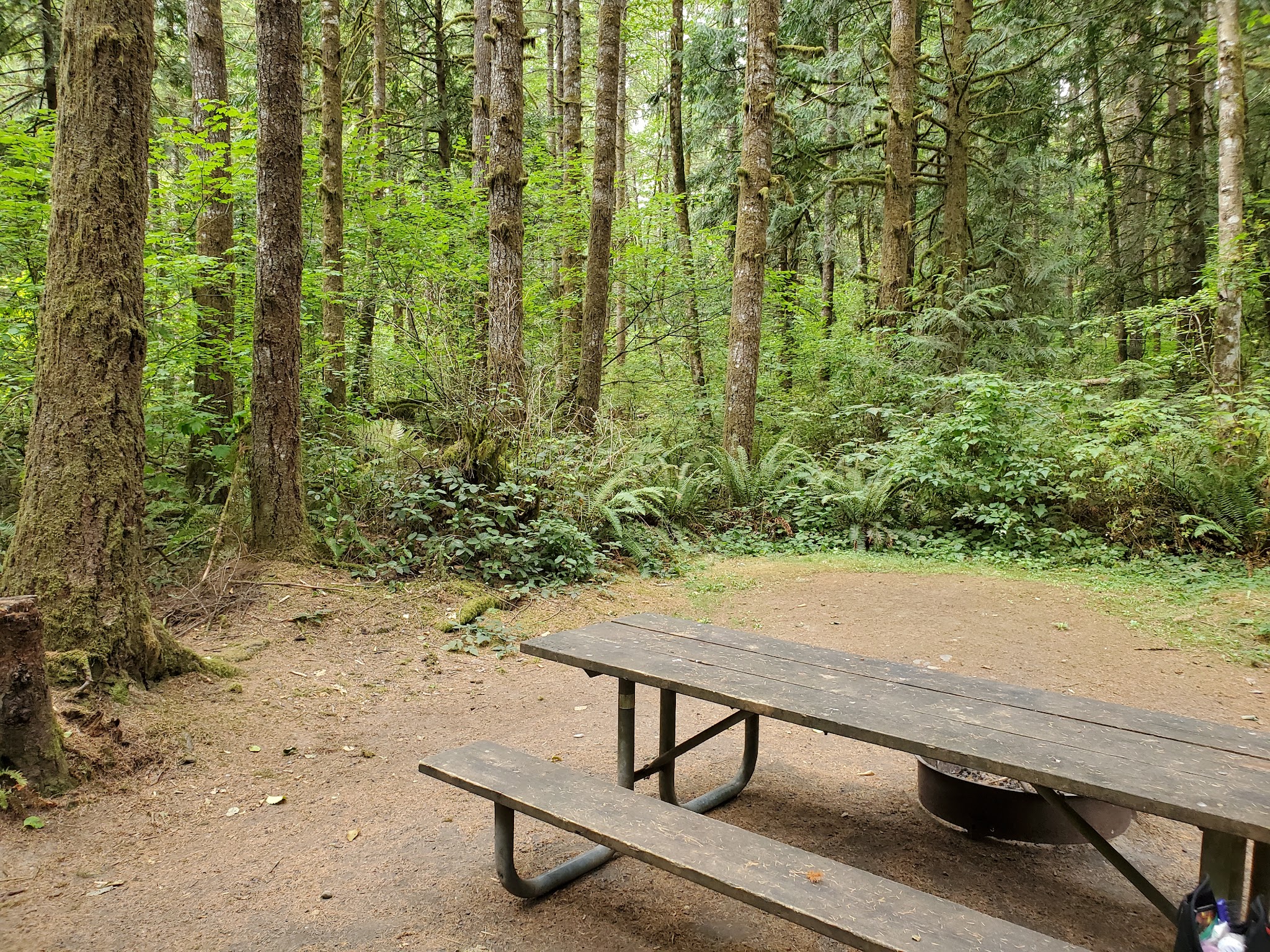 Lewis and Clark State Park (SW Washington)
