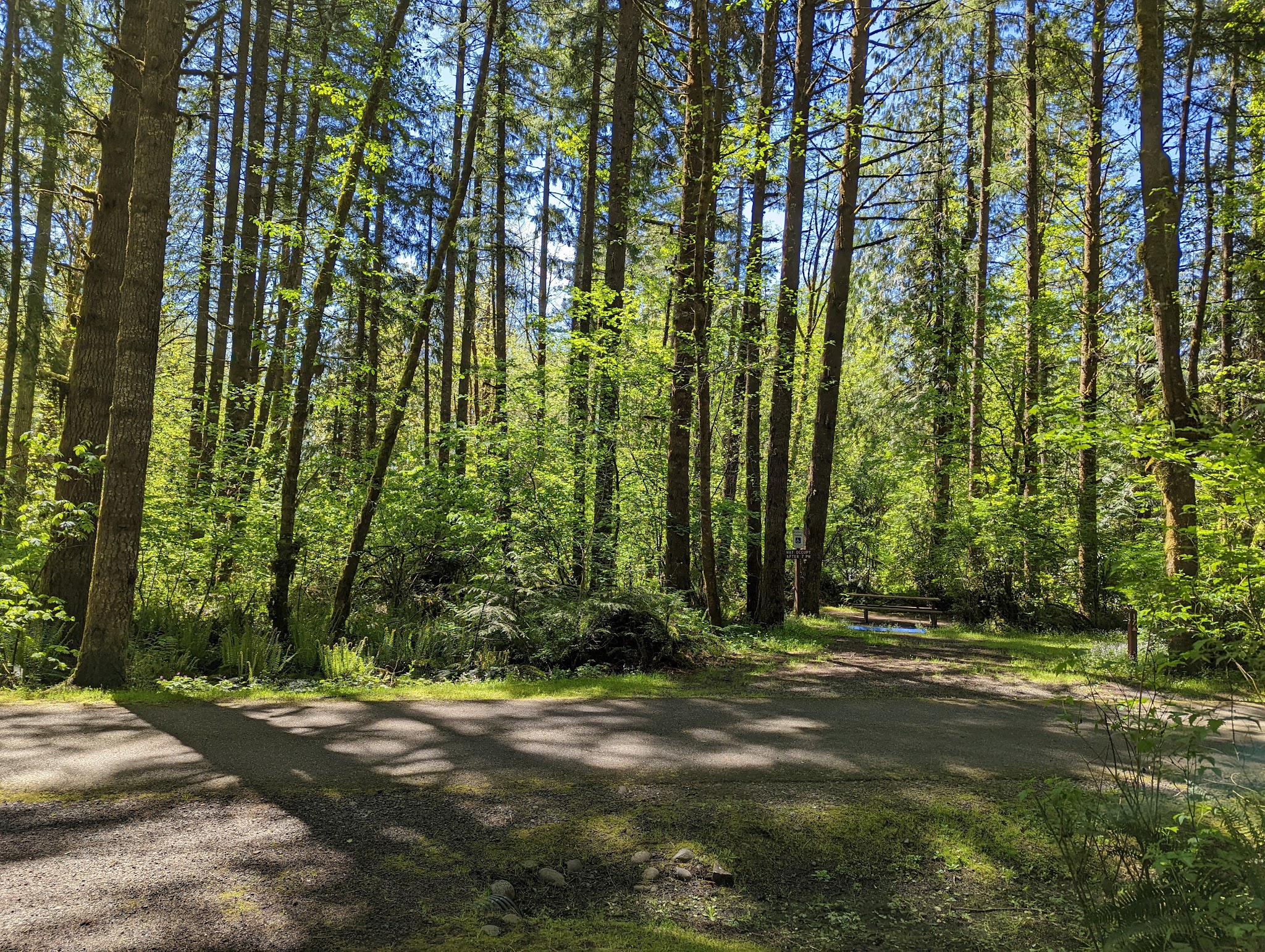 Lewis and Clark State Park (SW Washington)