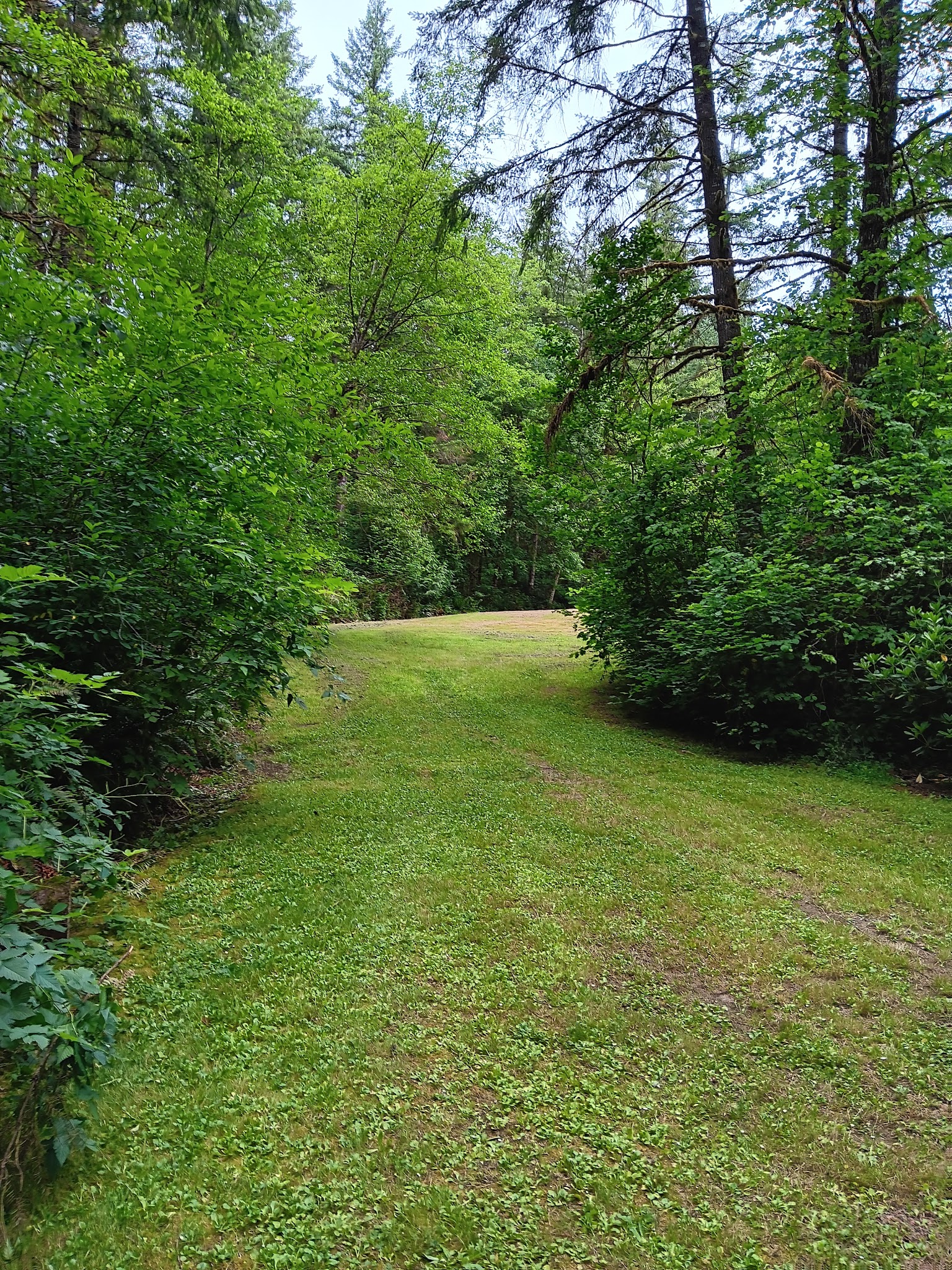 Lewis and Clark State Park (SW Washington)