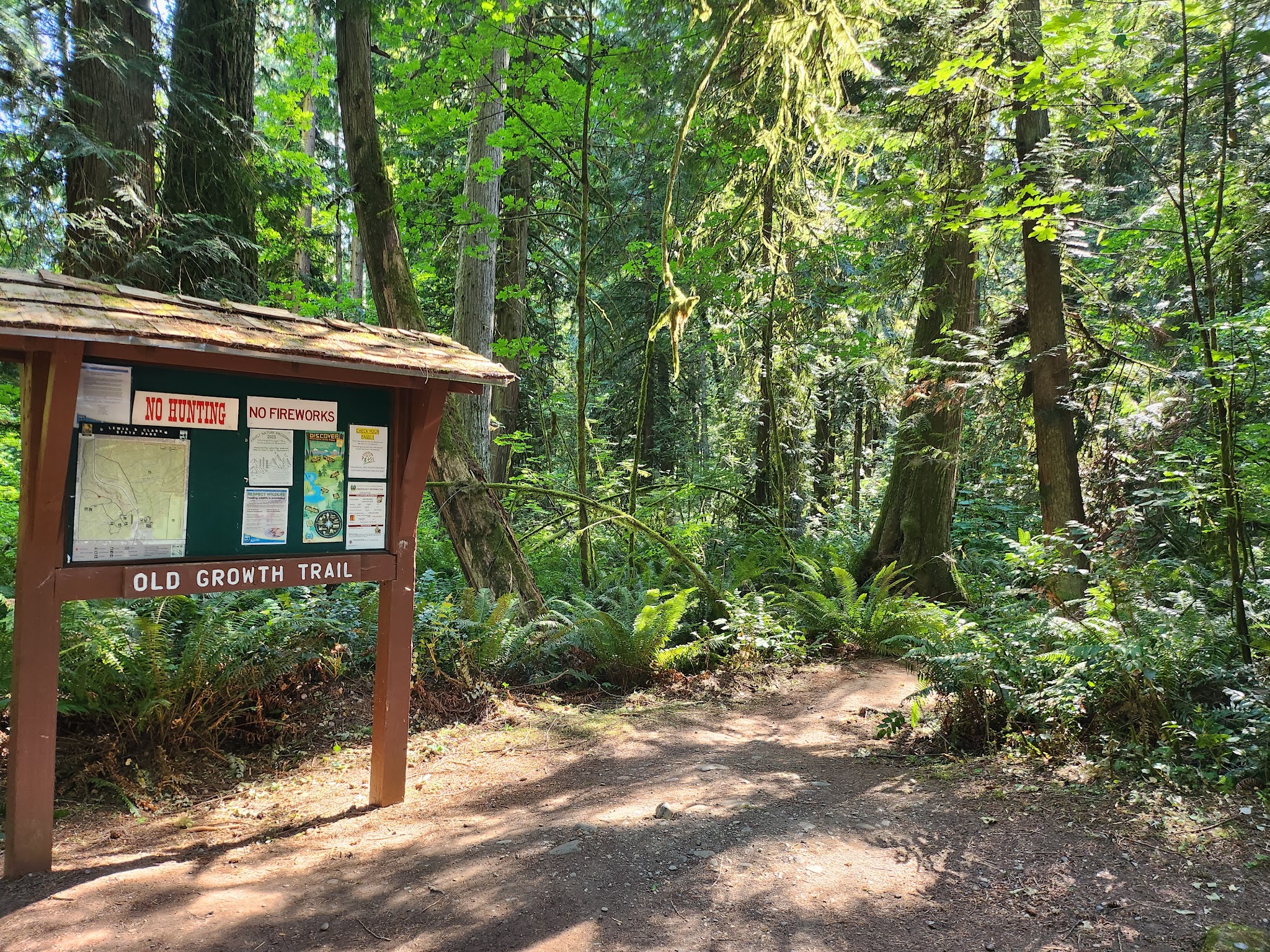 Lewis and Clark State Park (SW Washington)