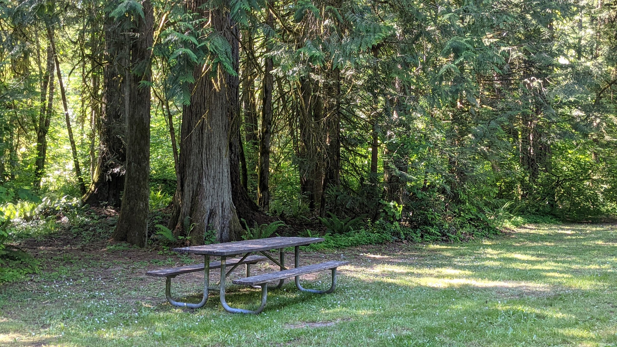 Lewis and Clark State Park (SW Washington)