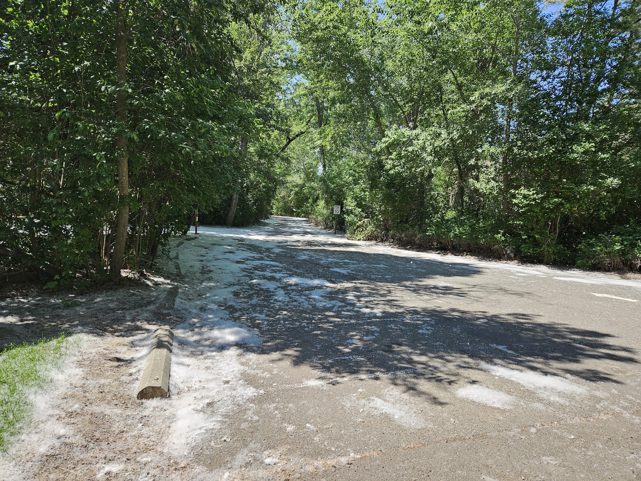 Lewis and Clark Trail State Park (SE Washington)