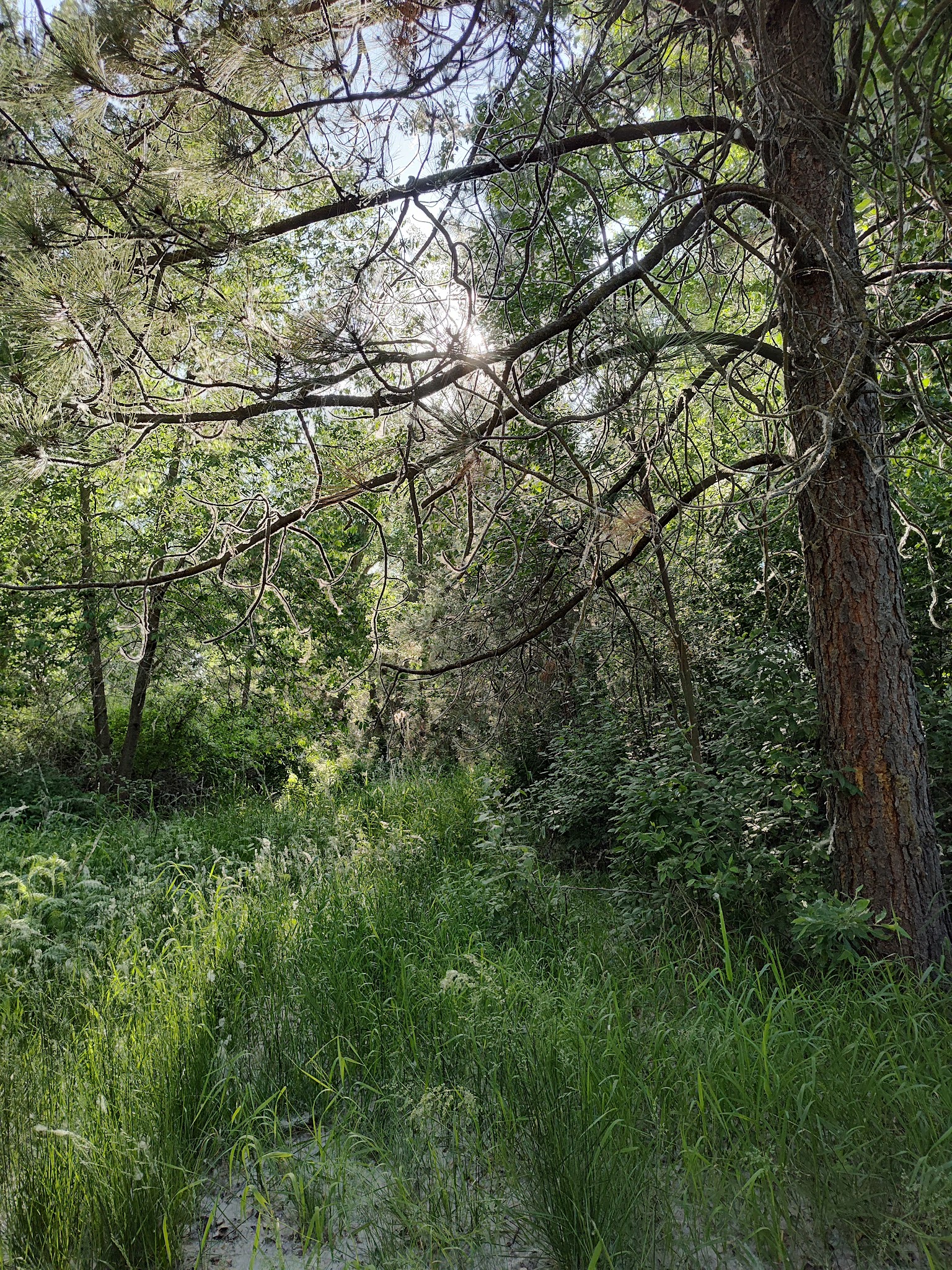Lewis and Clark Trail State Park (SE Washington)