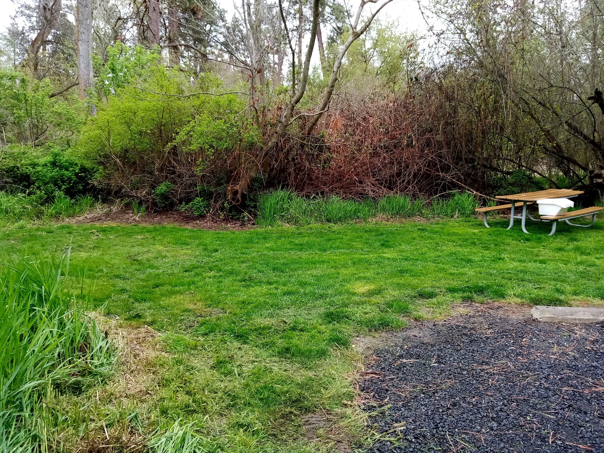 Lewis and Clark Trail State Park (SE Washington)